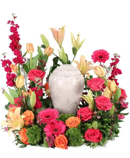 Consoling Embrace Urn Cremation Flowers - Consoling Embrace is a stunning memorial arrangement brimming with hot pink roses and gerberas, complemented by peach tulips and lilies. Each bloom exudes radiant energy, symbolizing the enduring spirit of a loved one. As vibrant hues intertwine, this arrangement is a testament to the joy and beauty they have brought  Includes: Round Mache Wreath, Italian Ruscus, Green Trick Dianthus, Hot Pink Gerberas, Green Hypericum, Peach Lilies, Hot Pink Roses, Purple Stock, Peach Tulips, Pink Waxflower, Orange Roses.