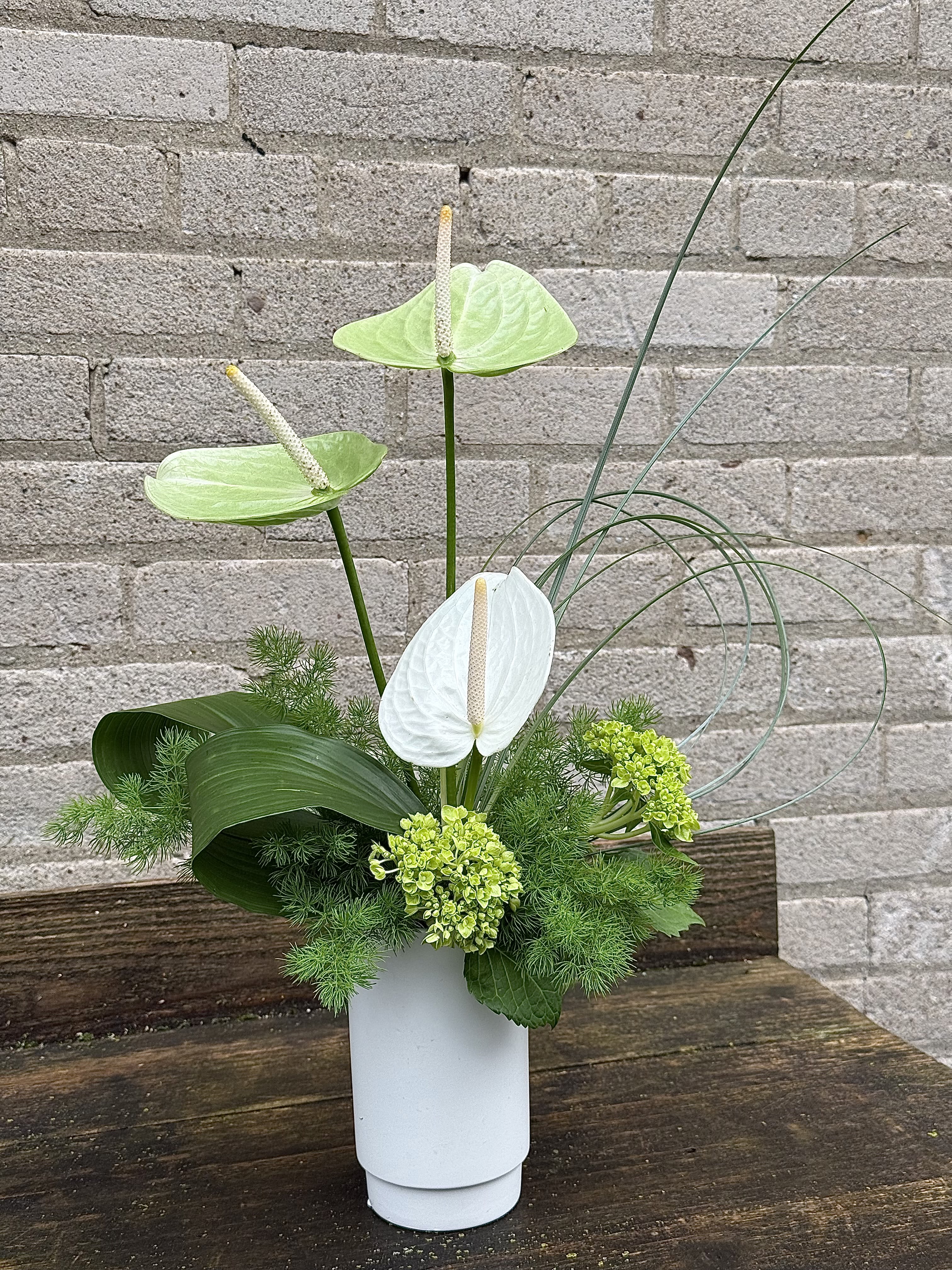 Modern - Pale green and white anthuriums rise above a low, sculptural mound of green hydrangea in this Modern flower arrangement - a contemporary centerpiece that reads fresh and serene for anniversaries, housewarmings, or sympathy displays. The clean lines and restrained palette make it equally fitting for a modern wedding table, a calm get-well gift, or a refined holiday mantle during Labor Day weekend or the winter season.  Three anthurium blooms float above compact green hydrangea and textured foliage, accented by curving decorative grass for a sculptural silhouette. The arrangement is presented in a simple white vase that keeps the composition minimal and gallery-ready; the bright greens and whites emphasize texture and form over fussily mixed color. Sized to work on a dining table, console, or bedside, it offers long-lasting visual impact with easy care - keep water fresh and out of direct heat to extend bloom life.  Designed to make the recipient feel seen and soothed, this Modern arrangement says "thinking of you," "congratulations," or "I'm sorry" with quiet confidence - a versatile choice for birthdays, graduations, new baby celebrations, Thanksgiving, Christmas, or simply because. Order for delivery to a contemporary home, office, or formal event where clean design and lasting elegance are appreciated.