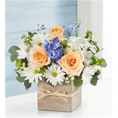Coastal Breeze For Dad - EXCLUSIVE Give Dad the day of relaxation he deserves with our Coastal Breeze arrangement. Inspired by the soothing shades of a seaside retreat, it’s artistically designed in our grey-washed wooden cube, featuring natural tones and textures, and finished with raffia. This gift sends your sentiments in cool, summery style. • One-sided arrangement with peach roses, blue delphinium, white Peruvian lilies (alstroemeria) and daisy poms, yellow statice; accented with assorted greenery • Artistically designed in our exclusive grey washed wooden cube tied with raffia; features a rustic style and natural, textural beauty; measures 5.2""L x 5.2""H x 5.2""W • Large arrangement measures approximately 17""H x 16""W • Small arrangement measures approximately 15""H x 13""W • Our florists hand-design each arrangement, so colors and varieties may vary due to local availability • To ensure lasting beauty, Peruvian lilies may arrive in bud form and will fully bloom over the next few days