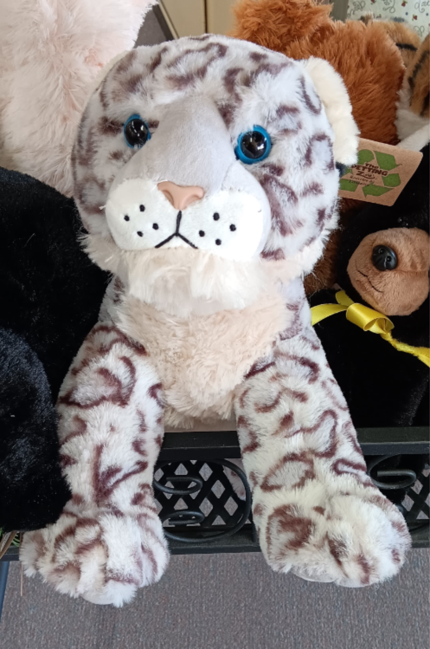 Blue Eyed Leopard - Blue Eyed Leopard is cute as you can expect.  15"
