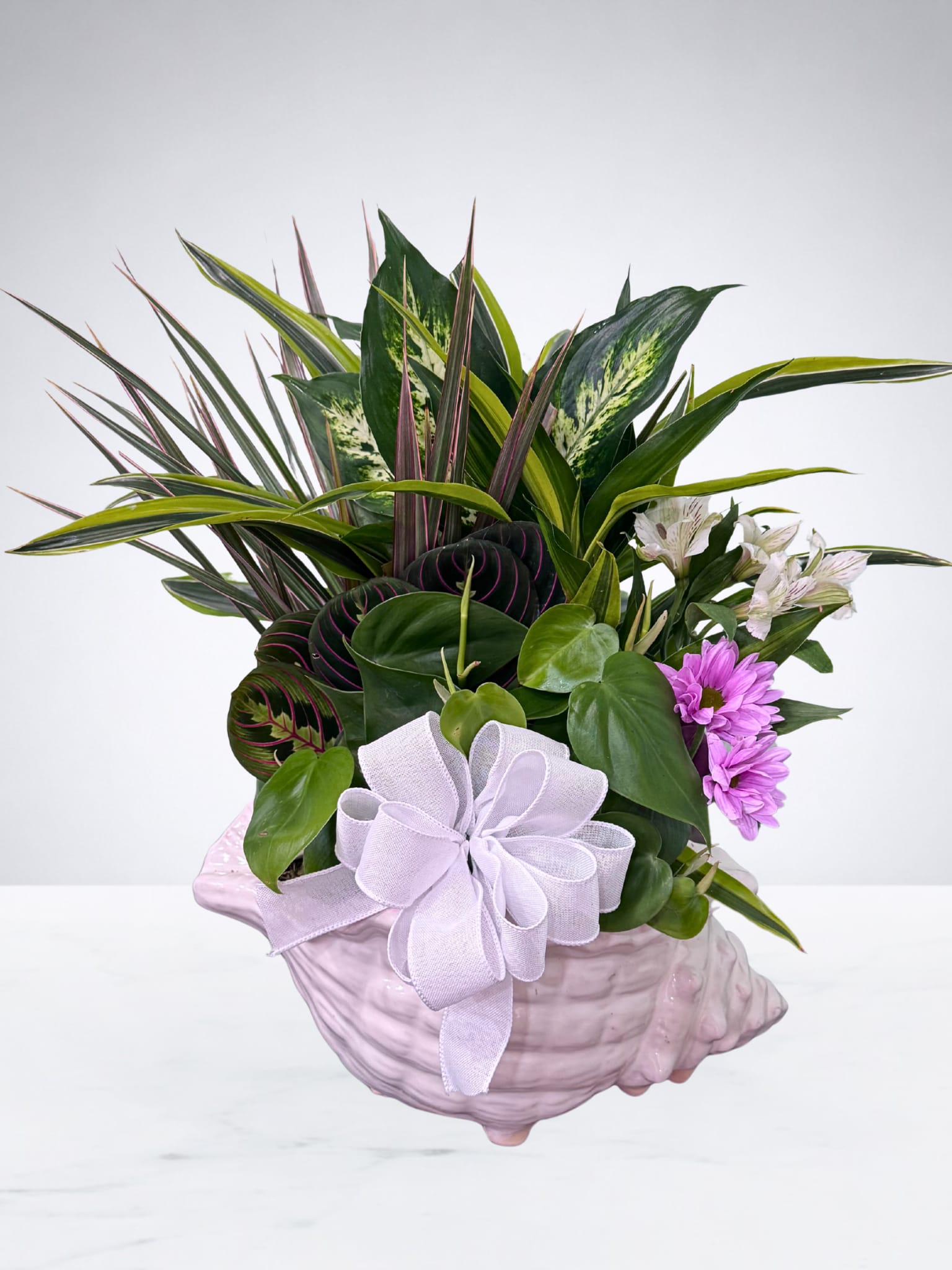 Mixed tropical plant arrangement in a pink shell-shaped container with a white bow
