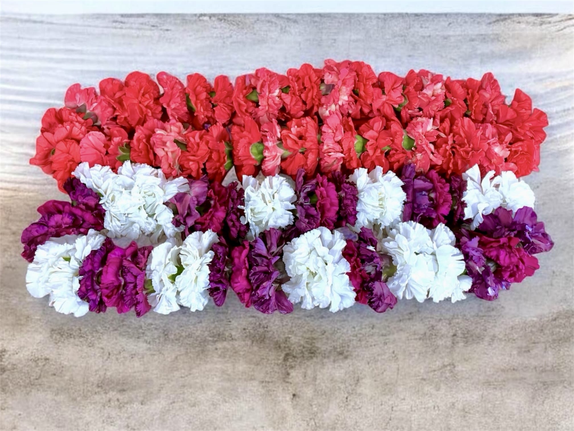 Carnation Lei - Carnation lei with soft ruffled blooms - a cheerful, festive accessory perfect for graduations, birthdays, or any celebration.  Please choose up to two colors that you would like used for your carnation lei. i.e. school colors or favorite color. If no colors are chosen, designer will choose 1-2 colors to complement the occasion.