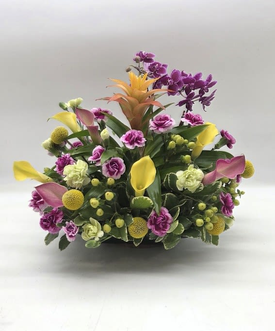 Island Bloom  - A tropical-inspired arrangement featuring premium orchids, elegant calla lilies, carnations, a striking bromeliad, craspedia, hypericum berries, and fresh foliage. Arranged in a 7-inch wide by 9-inch long dish tray, it's perfect for birthdays, celebrations, or simply brightening someone's day.