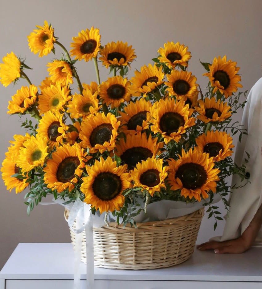 № 20 - Sunflowers Basket.The Photo Shows The Premium Size - Standard size - 21 sunflowers Deluxe size - 35 sunflowers Premium size - 50 sunflowers  The Photo Shows The Premium Size.