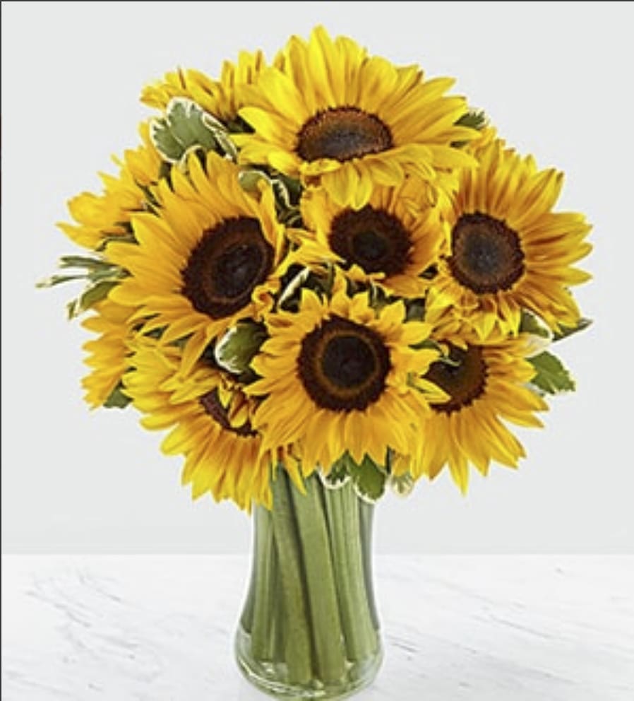 Sunflower Bouquet - Cut fresh from the garden, arranged with a vase, greenery. 