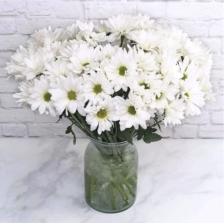 Rustic Daisy - White pom pons galore.. in a crock style vase. Sometimes simple is the ticket!