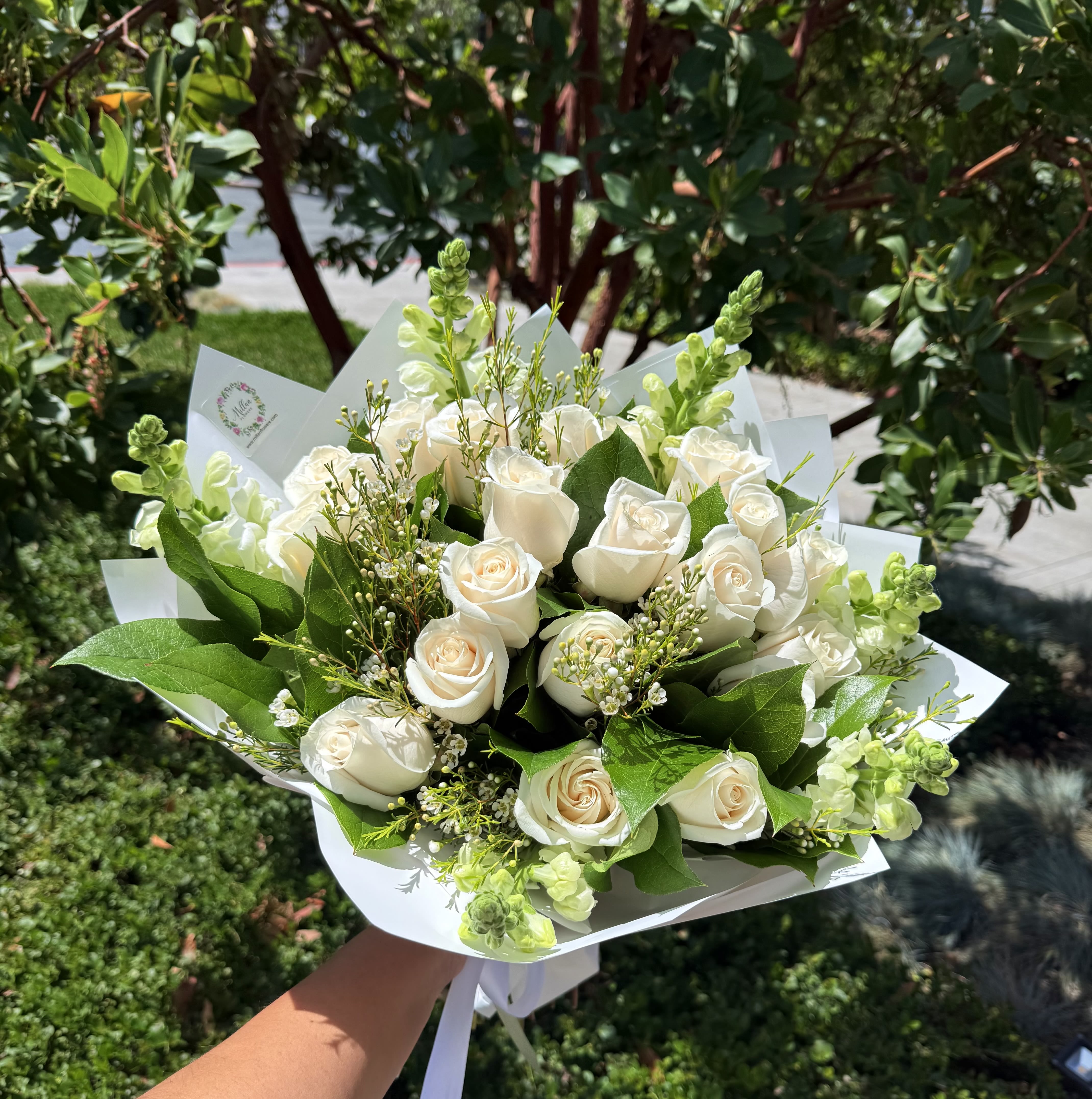 “Breeze” 18 Roses Bouquet  - Inspired by the harmony of nature this beautiful bouquet is crafted with 18 Ecuadorian roses, snapdragons, seasonal foliage and filler flowers wrapped in a solid white paper and accented with a satin ribbon in cream tones. Large size It’s perfect for bridal shower, wedding, birthday, just because. It does not include a vase. You can add a vase In the section “ make it extra special “