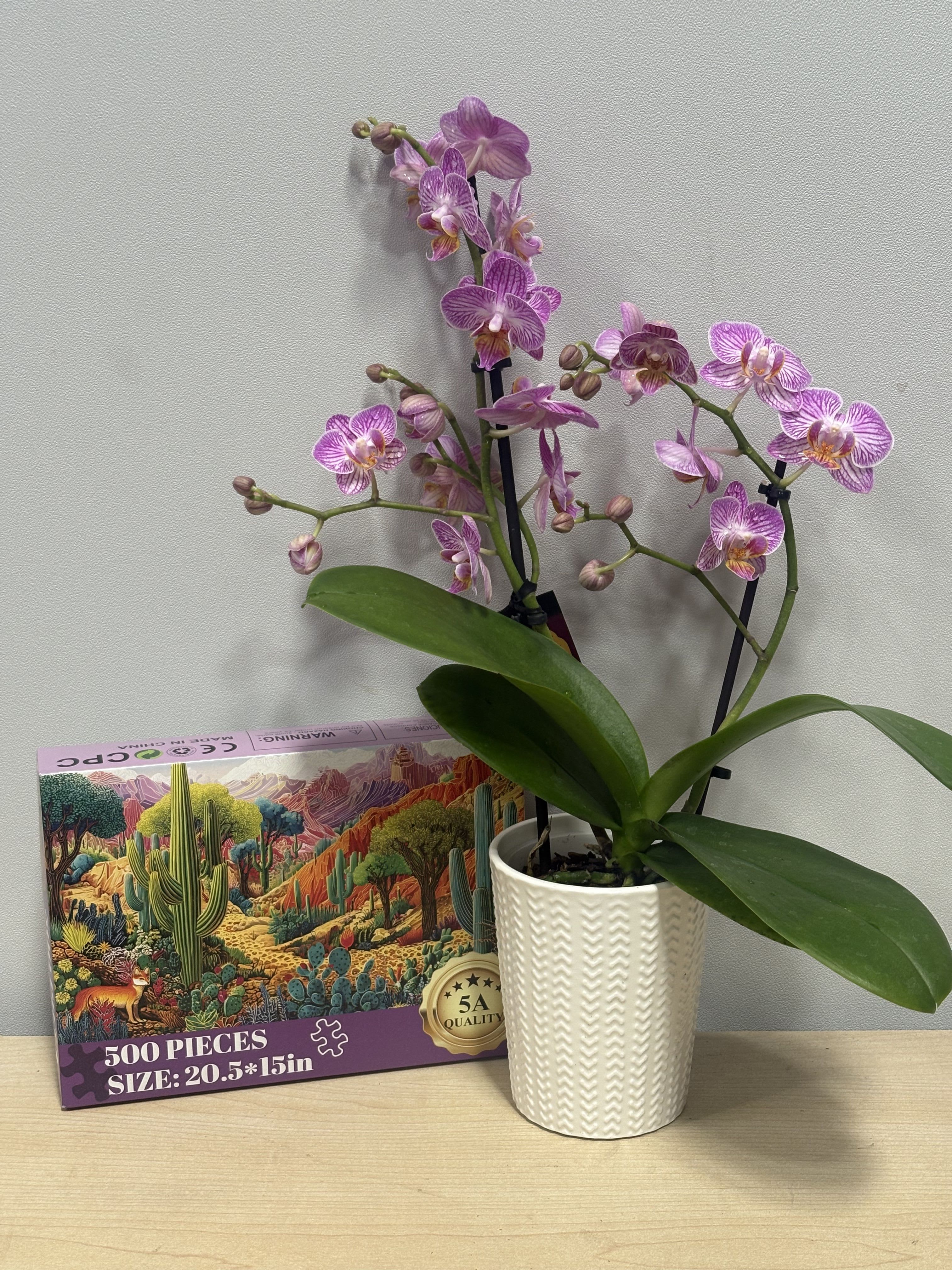 Lavender Orchid &amp; Puzzle - As shown 