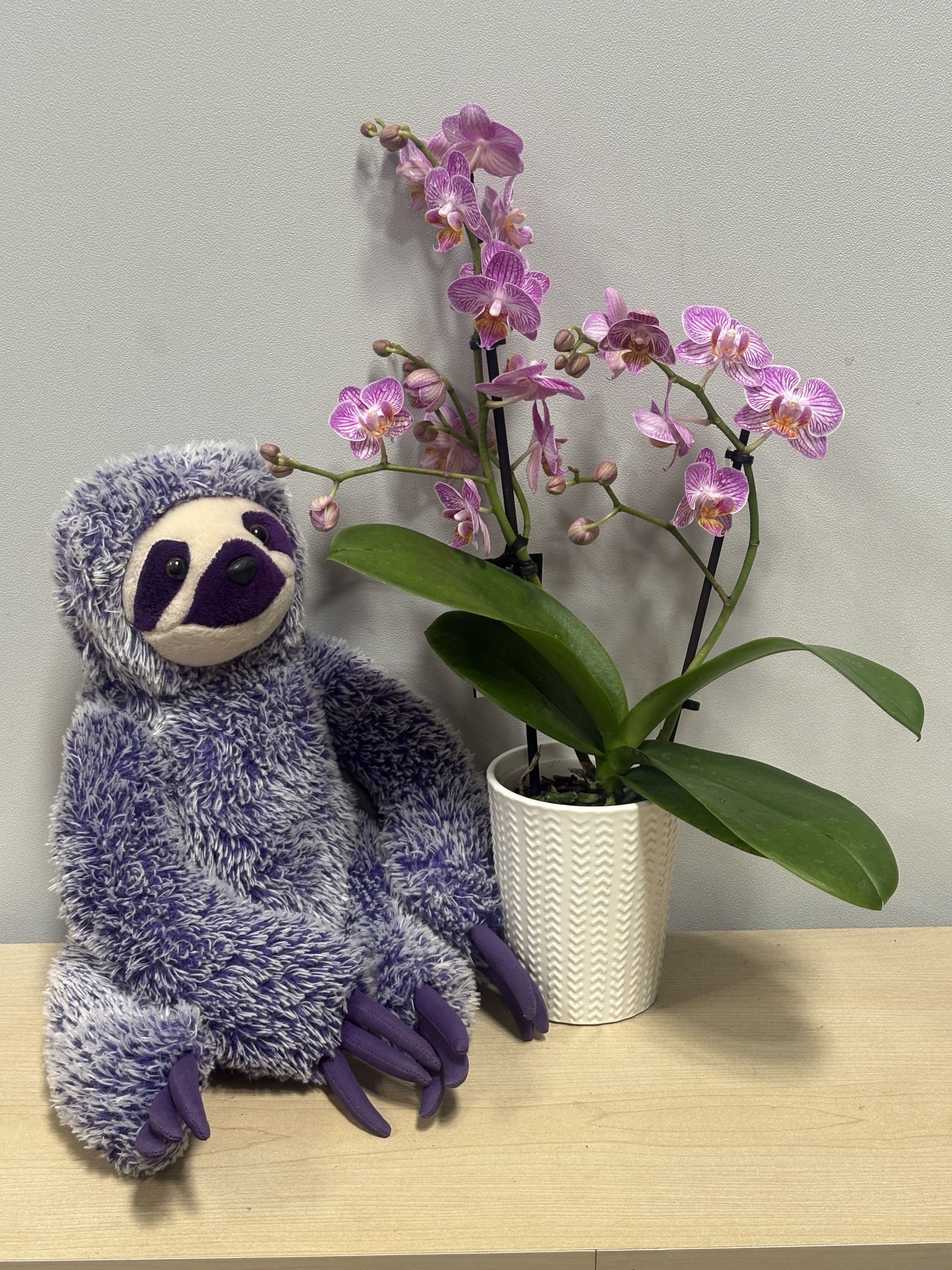 Lavender Orchid &amp; Purple Sloth - As shown 