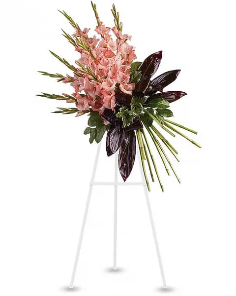 Elegant Tribute Spray - While beautiful and striking gladioli often symbolize strength and dignity, this dazzling coral display acknowledges a passion for living life to its fullest. A message that will surely be appreciated by anyone mourning a loved one. Beautiful coral gladioli are arranged with pittosporum, salal and red ti leaves to create a spray of flowers that delivers beauty and strength.   