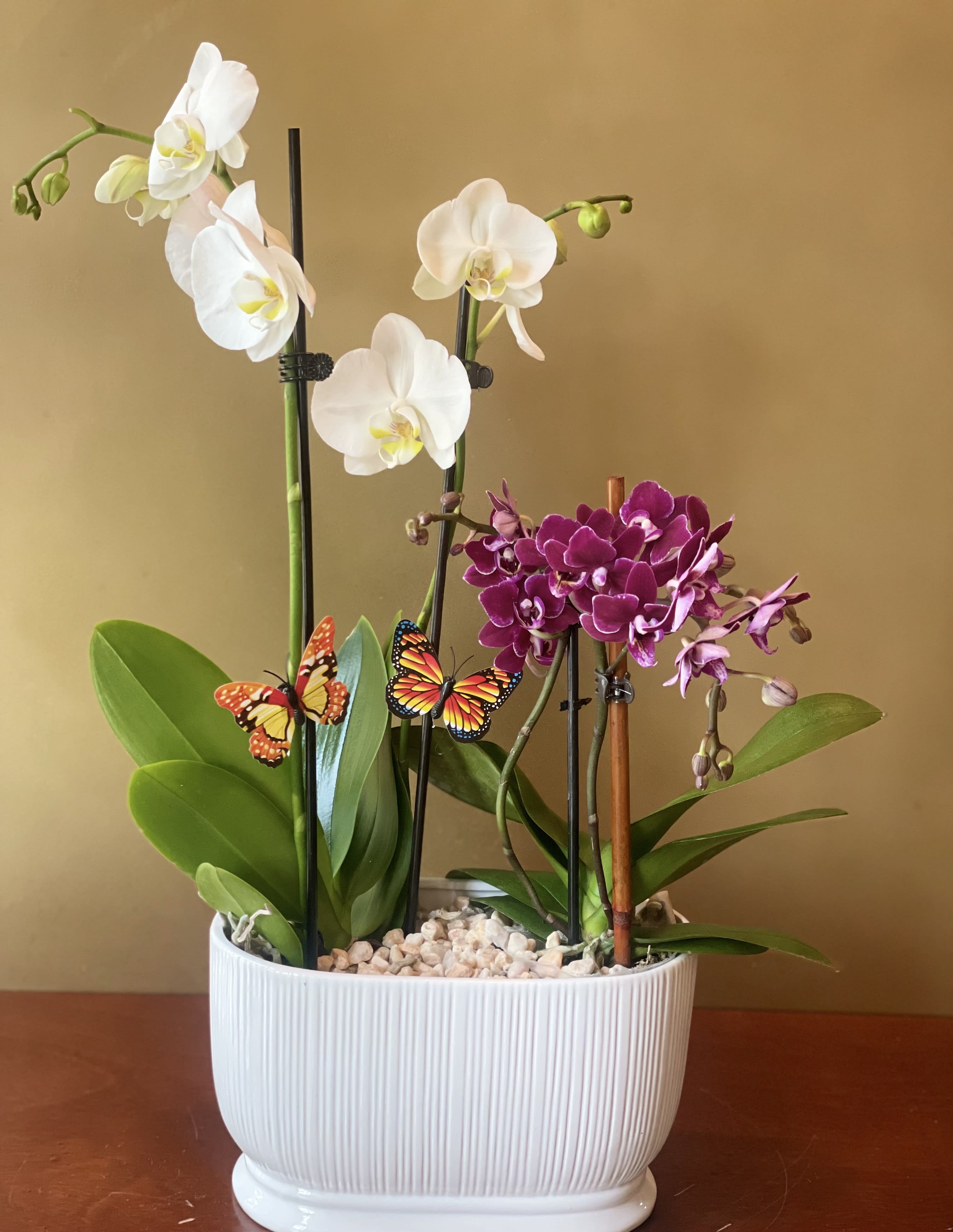 White and purple orchids in a white planter with butterfly picks