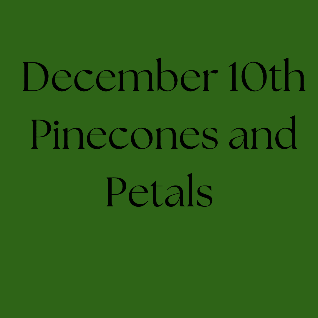 December 10th Flower Class - Holiday Magic