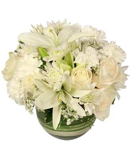 White Bubble Bowl Vase of Flowers - This stylish arrangement is sure to delight! With stunning white carnations, classy ivory roses, beautiful white Asiatic lilies, and more, White Bubble Bowl is a dreamy and classic mix. Peaceful and graceful, this wonderful bouquet will bring warmth to any room and heart!  Includes: Bubble Bowl Vase,  foliage: Variegated Aspidistra, Variegated Pittosporum,   White Carnations,   White Asiatic Lilies,   Cream Or Ivory Roses,   White Cushion Poms,   White Waxflowers.