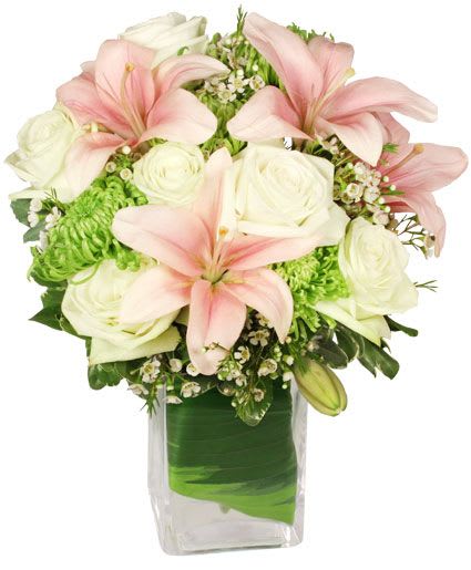Heavenly Garden Blooms Flower Arrangement - Bring the season's beauty inside with this superb bouquet! With alluring pale pink lilies, delicate pale green roses, luscious lime-green spider mums, and more, Heavenly Garden Blooms is a unique and awe-inspiring mix. Elegant and angelic, this arrangement is sure to captivate all season long!  Includes: Rectangular Vase, Foliage: Variegated Aspidistra, Variegated Pittosporum, Pale Pink Lilies, White Waxflower, Pale Green Roses, Limegreen Spider Mums.