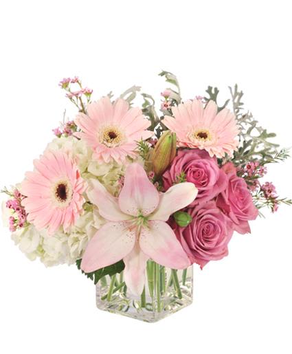 Quiet Dawn Bouquet - Just as the sun begins peeking over the horizon, delicate ribbons of pink marble the sky and a hush falls over the world. Soft pink gerberas and roses whisper gently in the dawn of a new day and pink lilies awaken the senses with their sweet scent. Quiet Dawn embraces the beauty of new life and tokens of gratitude.  Includes: Cube Vase , Foliage: Dusty Miller, Soft Pink Gerberas, White Hydrangea, Dusty Pink Roses, Pink Lilies, Pink Waxflower .