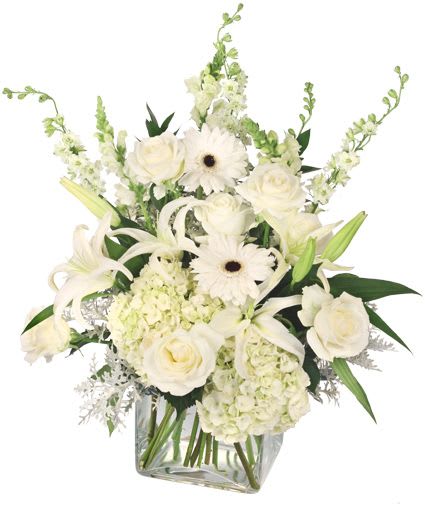 Pure Elegance Vase Arrangement - With a refined mix of white hydrangeas, snapdragons, lilies, roses, and more, Pure Elegance is a flawless beauty. Simple and timeless, send this elegant arrangement to someone you love.  Includes: Square Glass Vase, Foliage: Salal, Dusty Miller, White Hydrangeas, White Snapdragons, White Larkspur, White Lilies, White Roses, White Gerberas.