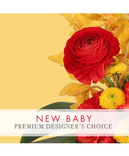 Precious New Baby Premium Designer's Choice - Send your congratulations to the happy family! Welcome the sweet bundle of joy to the world with beautiful blooms that will make them say, “Oh baby!” Celebrate the little one with our Premium Designer’s Choice New Baby arrangement. They’ll appreciate your excitement about the new arrival!