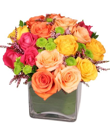 Energetic Roses Arrangement - This vibrant bouquet is sure to liven up their day! The striking mix of brightly colored roses pairs beautifully with the green button poms and hot pink calycina, making Energetic Roses a bouquet full of color. Send the ones you love this fiery bouquet today!  Includes: Cube Vase, Foliage: Myrtle, Aspidistra Leaf, Green Kermit Button Poms, Hot Pink Calycina, Assorted Brightlycolored Roses, (Shown: Coral Roses, Hot Pink Roses, Peach Roses &amp; Yellow Roses).