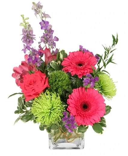 Charming Variety Floral Arrangement - Celebrate their special day with a vibrant arrangement featuring pink gerberas, green spider mums, and purple larkspur. Charming Variety combines the freshest blooms to create a stunning display. Order online or give us a call today.  Includes: Small Cube Vase, Greens: Curly Willow Tips, Variegated Pittosporum, Italian Ruscus , Purple Alstroemeriaa, Green Trick Dianthus, Hot Pink Gerberas, Purple Larkspurs, Hot Pink Rose, Green Spider Mums, Deep Purple Statice.