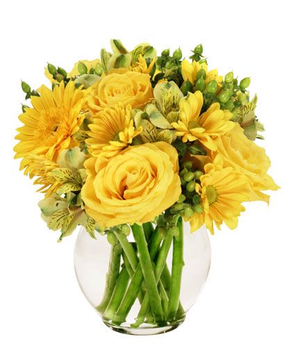 Sunshine Perfection Floral Arrangement - Talk about a ray of sunshine! Featuring stunning yellow roses, beautiful yellow alstroemeria, stylish yellow gerberas, and more, Sunshine Perfection truly lives up to its name. Spread some sunshine and happiness to the ones you love with this vibrant bouquet!  Includes: Round Ruffle Bowl, Yellow Roses, Yellow Gerbera, Yellow Daisy Poms, Bicolored Yellow &amp; Green Alstroemeria, Green Hypericum.