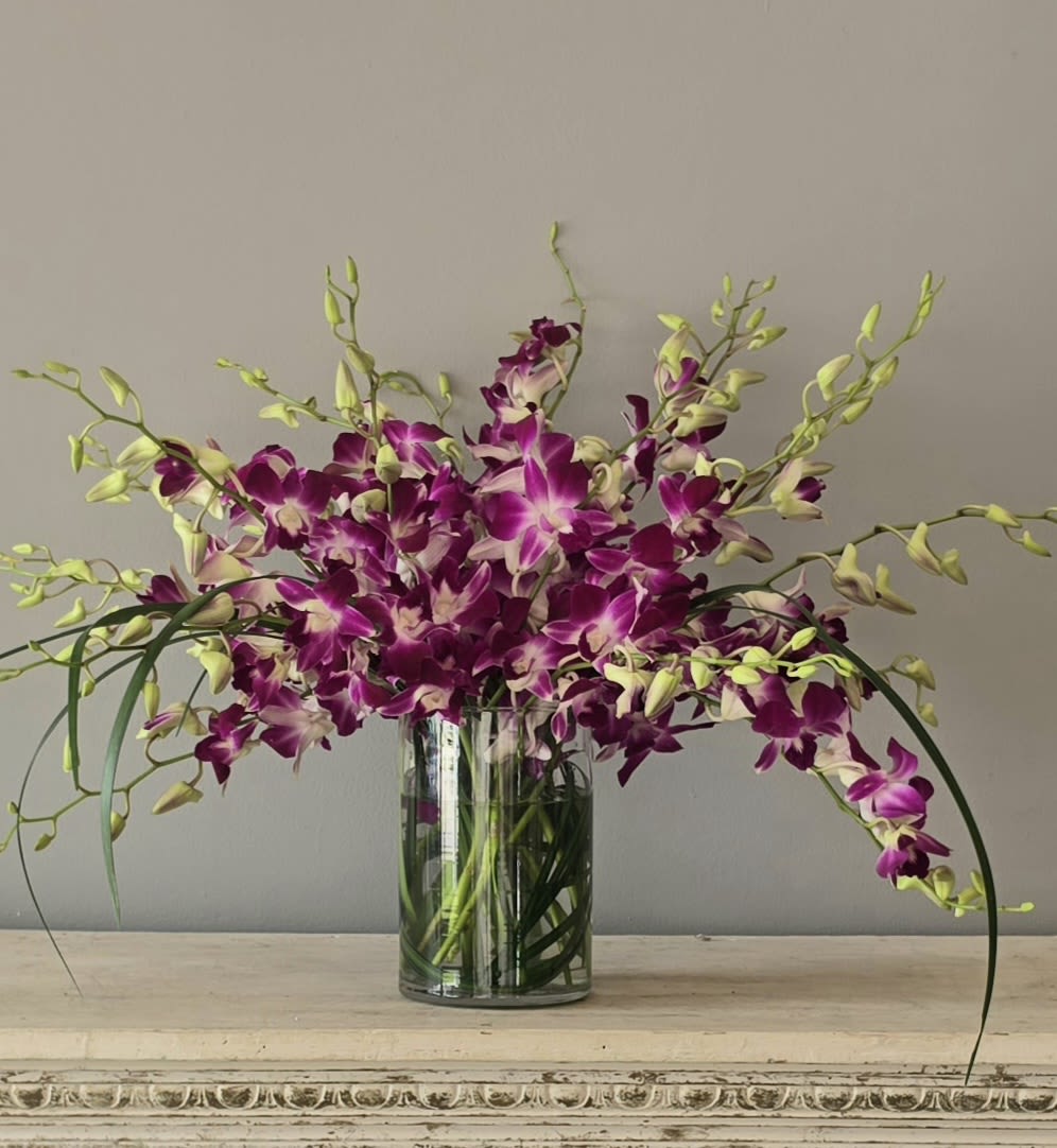 Orchid Extravaganza - 20 stems of orchids in a vase SPECIAL PRICE!!!!!