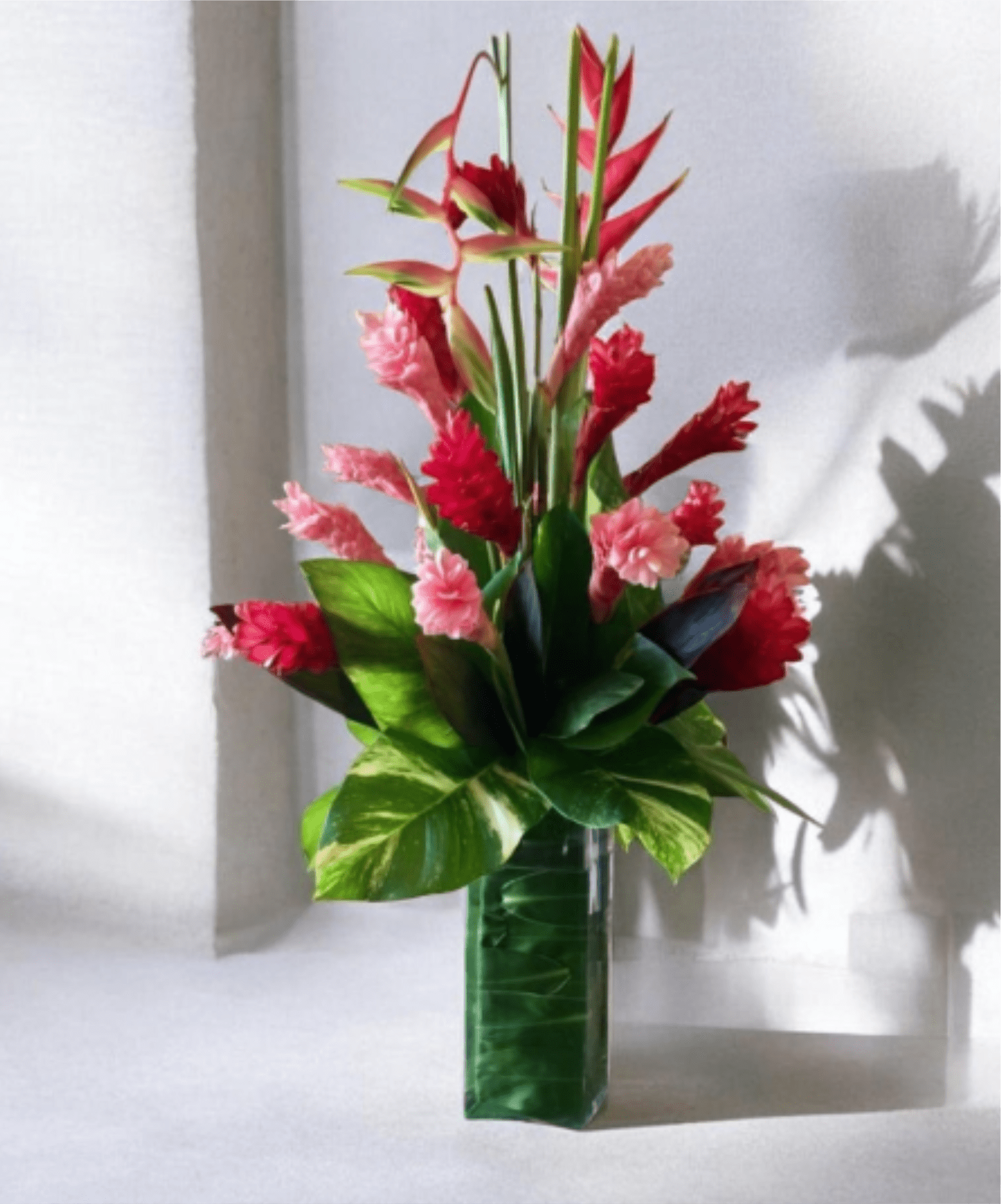 Pajarito Garden - Tall, upright tropical bouquet designed to make someone feel celebrated-perfect as a birthday bouquet or a festive tropical gift. Red and pink tropical blooms rise like a sculptural fan above broad, glossy green leaves so the recipient will notice the dramatic vertical silhouette the moment it arrives. The composition reads contemporary and polished, so it also works well as a statement centerpiece for a warm-weather party or to brighten an office.  This arrangement mixes vivid red and pink tropical flowers with ruffled carnation-like blooms for texture and cheer, all set into a rectangular green glass vase that keeps the design crisp and modern. The stems are arranged compactly at the base and extend upward for a layered, architectural look; broad foliage provides glossy contrast to the softer petal ruffles. The bright palette and clean lines create a bold, decorative piece that reads tropical and celebratory.  Send it to someone who loves bold color and modern style-the kind of bouquet that makes the person you're thinking of feel noticed and joyful. The clear, rectangular glass vessel is sturdy and display-ready; place in fresh water and trim stems if relocating to a different vase to help flowers last longer.