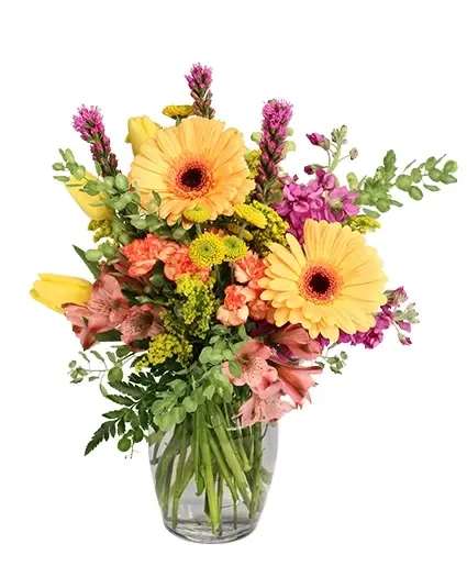 Dainty Darling Floral Arrangement - With bold purples, pinks, oranges, and yellows, this bouquet of cheerful blooms is perfect for any occasion! Containing alstroemeria, gerberas, liatris, tulips, and more, Dainty Darling will make anyone smile. Order this charming bouquet today!  Includes: Rose Vase, Pennycress, Solidago, Leather Leaf, Pink Alstroemeria , Orange Bicolor Mini Carnations, Peach Gerberas, Purple Liatris , Yellow Button Poms, Purple Stock , Yellow Tulips .