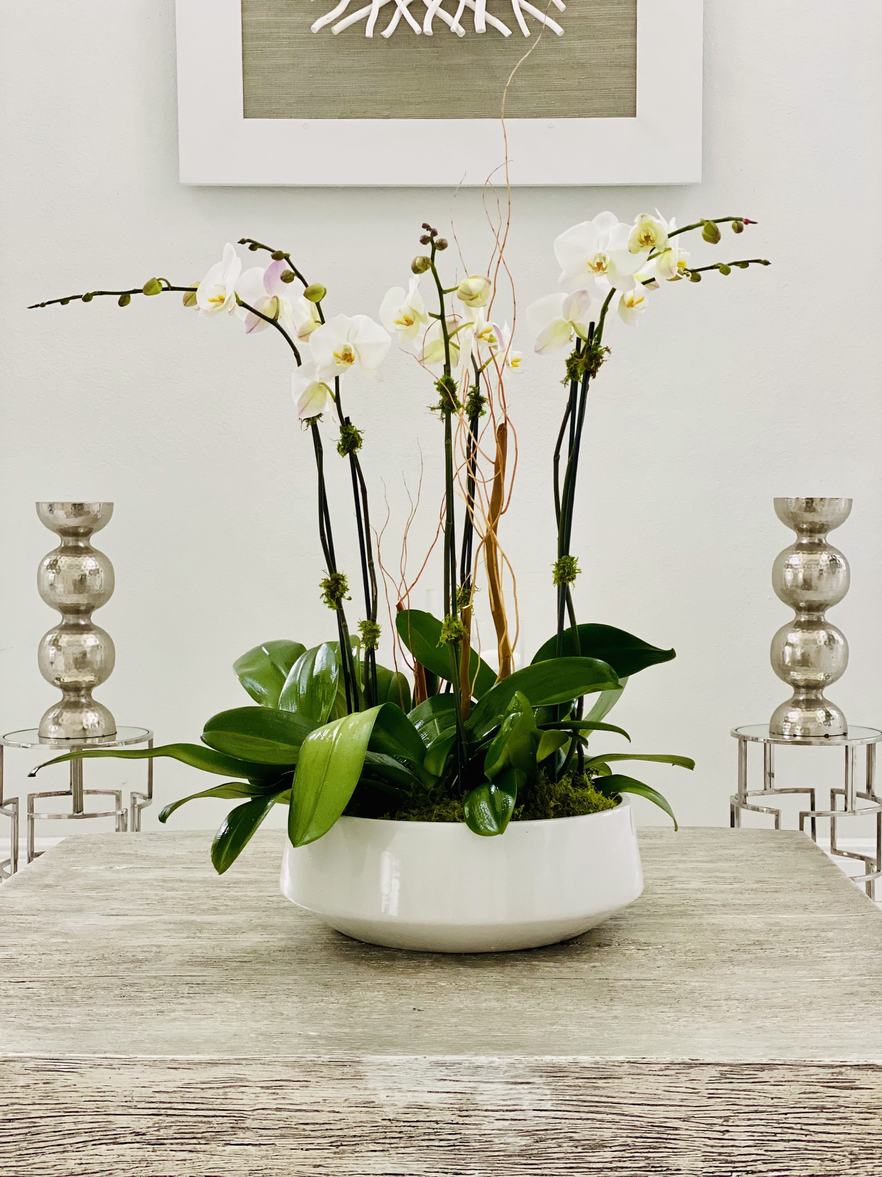 White orchid arrangement in a low white bowl with decorative branches