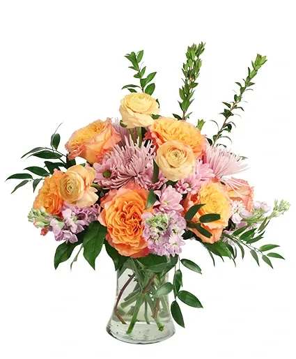 Soothing Sunset Flower Arrangement - Containing the colors of the setting sun, Soothing Sunset is sure to thrill anyone who receives it. With bold free spirit roses, lavender spider mums and daisy poms, and peach ranunculus, this bouquet of colors is a dream. Order this arrangement today.  Includes: Gathering Vase, Italian Ruscus, Myrtle, Salal, Lavender Daisy Poms, Peach Ranunculus , Free Spirit Roses, Lavender Spider Mums, Lavender Stock.