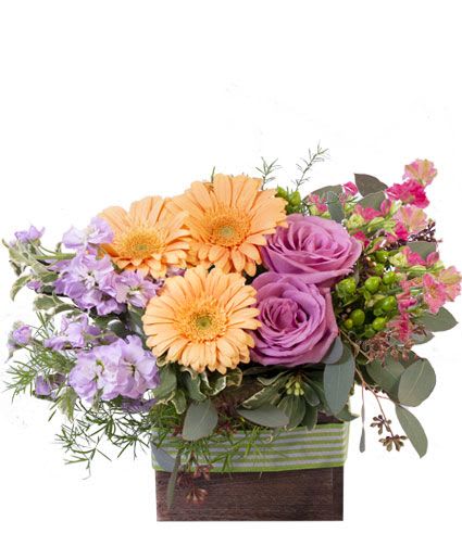 Blooming Wild Floral Design - This delightful bouquet is sure to captivate! Filled with gorgeous peach gerberas, lavender roses, pink larkspur, lavender stock, and more, Blooming Wild is a delicate and elegant mix. Send this stunning pastel arrangement to someone you love today!  Includes: Wooden Cube, Greenwhite Striped Ribbon, Greens: Seeded Eucalyptus, Mini Variegated Pittosporum, Spring Eri (Asparagus Fern), Flowers: Peach Gerberas, Green Hypericum, Lavender Roses, Lavender Stock, Pink Larkspur.