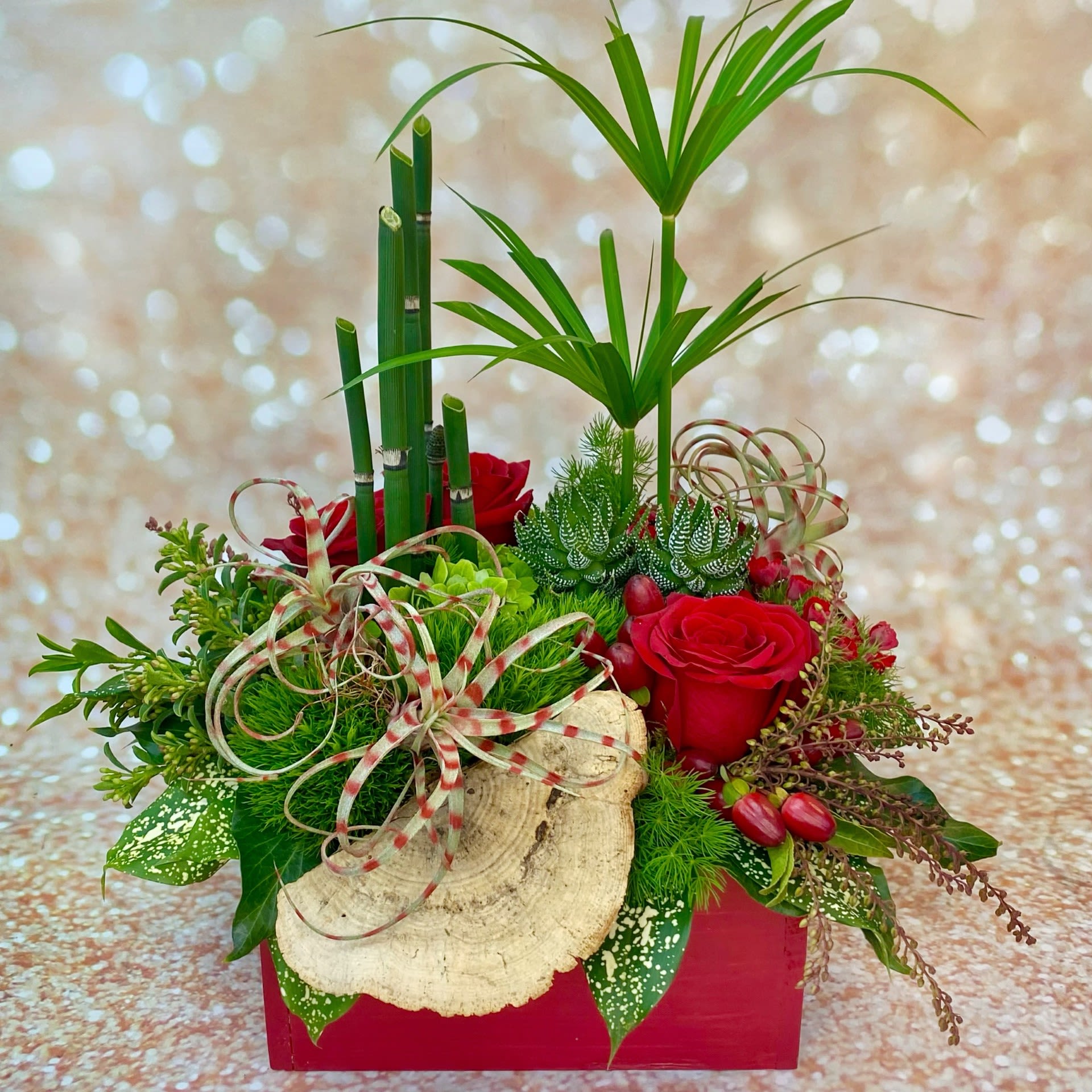 Valentine's Day Texture Box - A limited-edition Texture Box created just for Valentine's Day for the many fans of our award-winning Texture Collection. We have taken the familiar wooden box and painted it red to match the beautiful red roses. A variety of succulent plants, mosses, stones and other textural elements will be specially selected to create a unique Texture Box, just for your sweetheart. It will be delivered giftwrapped with easy instructions how to care for the succulents, so that they can serve as a reminder of your love for a long-time to come.   Approximately 10" by 10" and 12" tall  This Fiori Floral Design exclusive in only available within our local delivery area. You can check if a recipient’s address is in our standard delivery area by looking at the list of Neighborhoods, Cities and Zip Codes at the bottom of our home page or by giving us a call at (206) 329-3944.