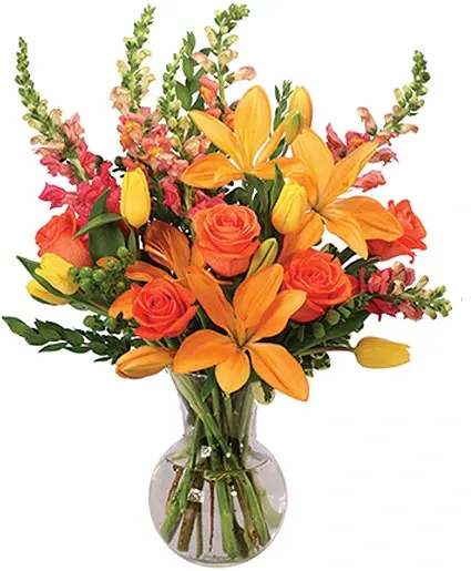 Blooming at Dawn Floral Design - Brighten their day with orange lilies, coral roses, and yellow tulips paired with snapdragons, carnations, and asters! With rich oranges, yellows, pinks, and corals, these flowers are truly blooming in this vibrant design. Surprise them with Blooming at Dawn today!  Includes: Clear Glass Ginger Vase, Greens: Variegated Pittosporum, Myrtle, Flowers: Orange Snapdragons, Coral Roses, Yellow Tulips, Pink Snapdragons, Orange Lilies, Green Hypericum.