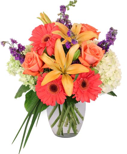 Aurora Bouquet - An unforgettable arrangement, Aurora is a sunset in a vase! With colors of peach, coral, oranges, whites, and purple, this beautiful display of florals will make a lasting impression. Roses, gerberas, lilies, larkspur, and green foliage make up this charming arrangement, call or order online today!  Includes: Ginger Vase, Foliage: Lily Grass, Galax Leaves, Dark Coral Gerberas, White Hydrangeas, Orange Roses, Peach Lilies, Purple Larkspur.