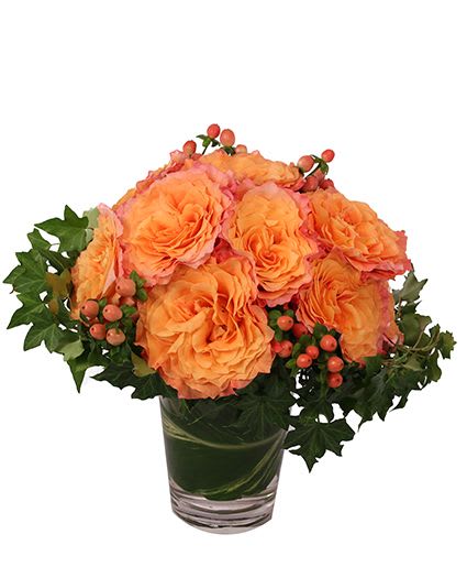 Flirty Free Spirit Rose Arrangement - Flirty Free Spirit is a beautiful mixture of dreamy orange and blushing pink flowers! With a stunning wreath of ivy, these dozen roses are a decadent masterpiece waiting to romance that special someone in your life. Send this flirty arrangement to make them smile today.  Includes: Clear Cylinder Vase, Greens: Variegated Aspidistra, English Ivy, Flowers: Free Spirit Roses, Coral Hypericum.