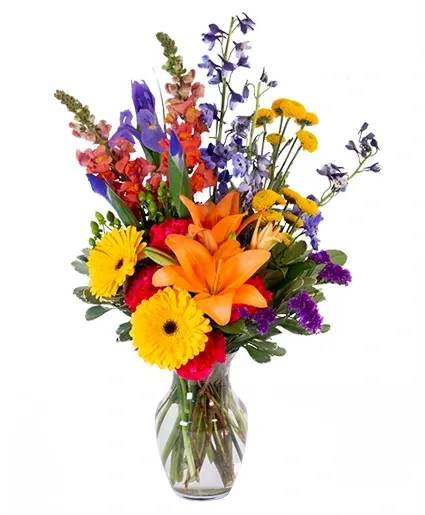 Vibrant Meadow Flower Arrangement - These bright and colorful flowers make a wonderful gift! This joyful design features orange lilies, yellow gerberas, blue iris, and hot pink carnations, making Vibrant Meadows a fun fall mix. These gorgeous blossoms will brighten up a room and make them feel loved!  Includes: Clear Ginger Vase, Greens: Salal, Variegated Pittosporum, Flowers: Hot Pink Carnations, Blue Iris, Blue Delphiniumlarkspur, Purple Statice, Orange Snapdragons, Yellow Button Poms, Yellow Gerberas, Green Hypericum, Orange Lilies.