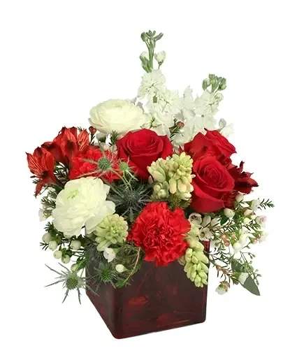Luscious Charm Vase Arrangement - An exquisite array of beautiful reds, whites, and greens, Luscious Charm is a stunning arrangement. With alstroemeria, carnations, ranunculus, stock, tuberoses, and waxflower, this bouquet is perfect for any occasion. Call or order online today!  Includes: Red Cube Vase, Seeded Eucalyptus, Cedar , Red Alstroemeria , Red Carnations , Blue Thistle , White Hypericum , White Ranunculus , Red Roses , White Stock , Tuberoses , White Waxflower.