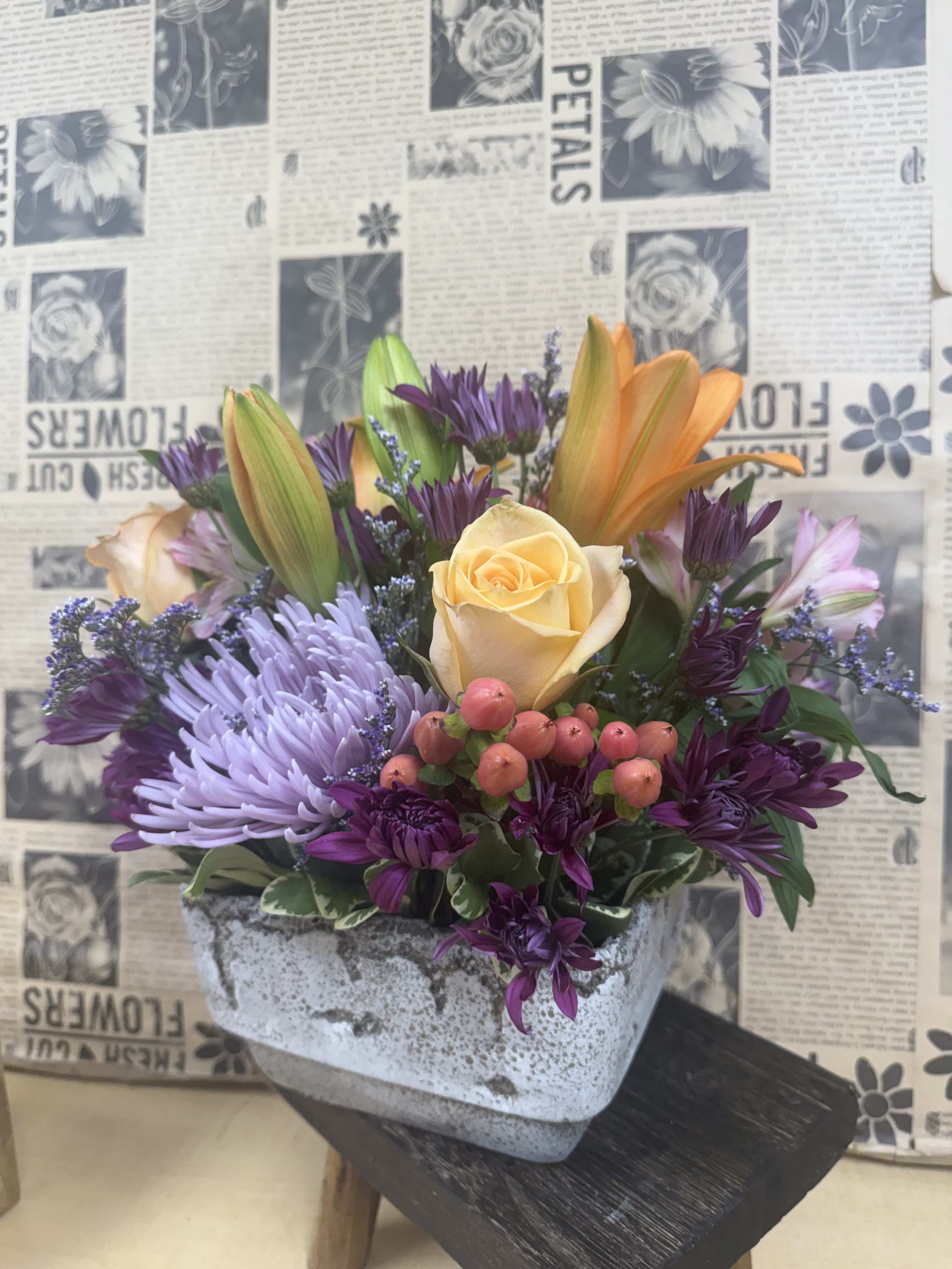 Sunkissed - Concrete Planter Arrangement