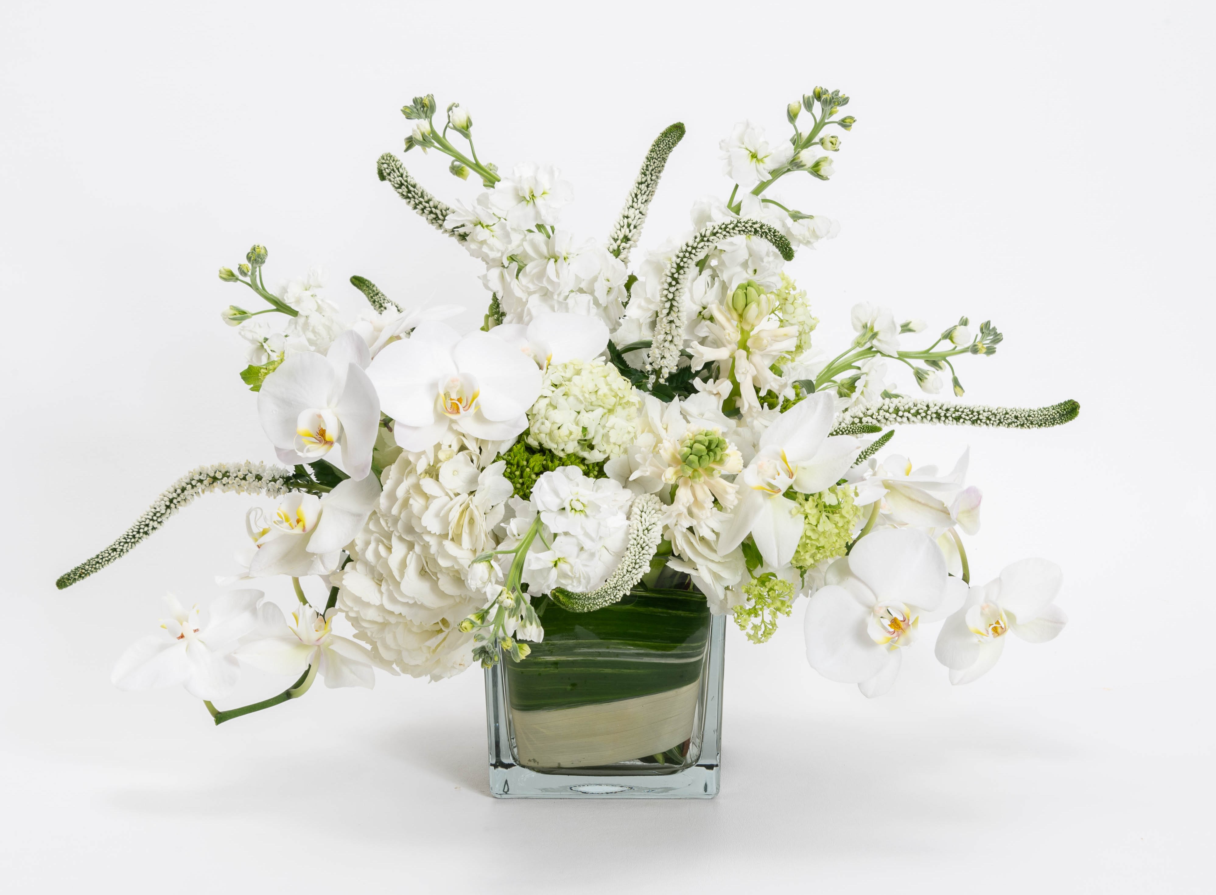 White orchid and hydrangea arrangement in a square glass vase