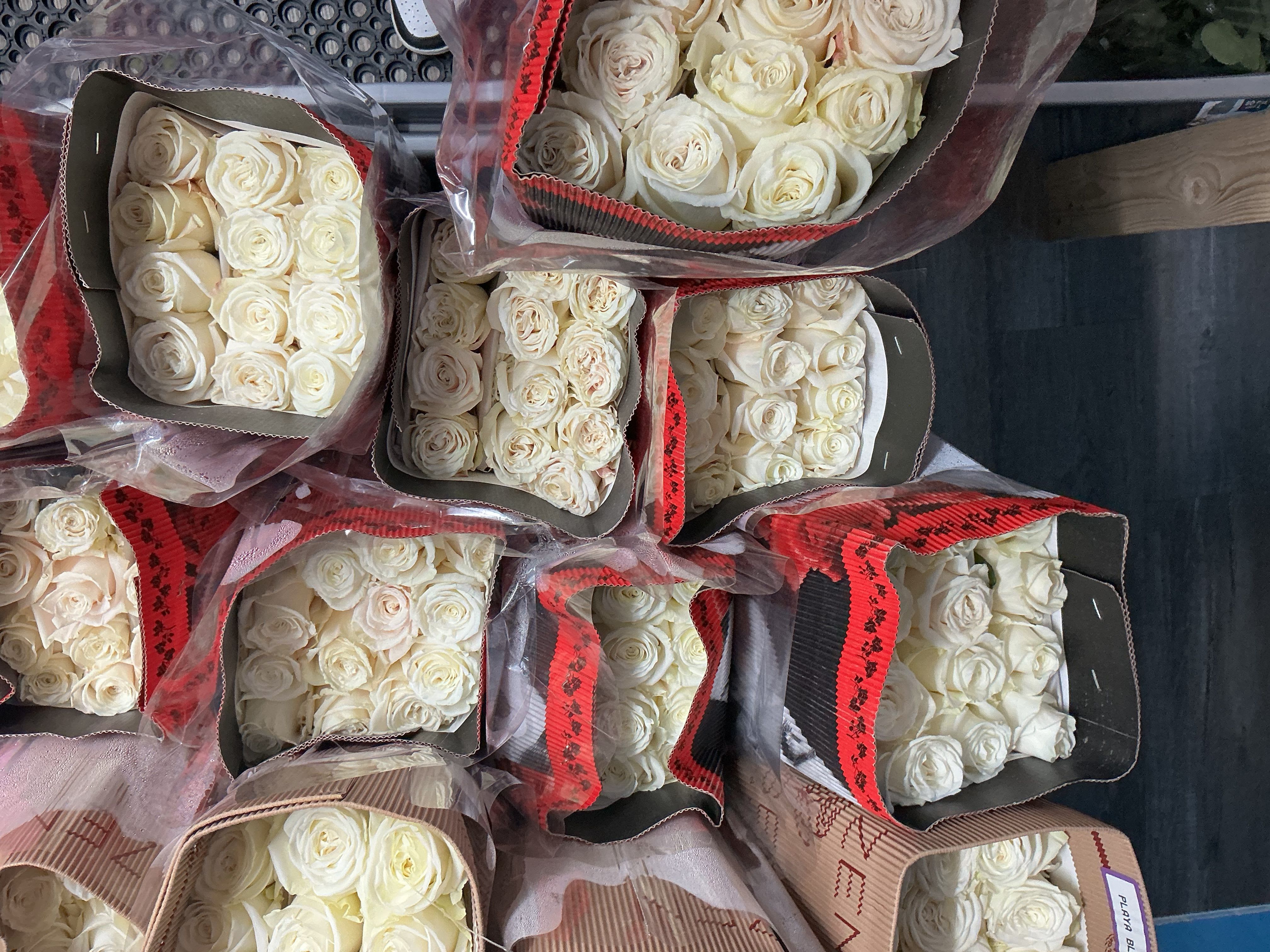 Bunch of white roses  - 25 ct bunch 
