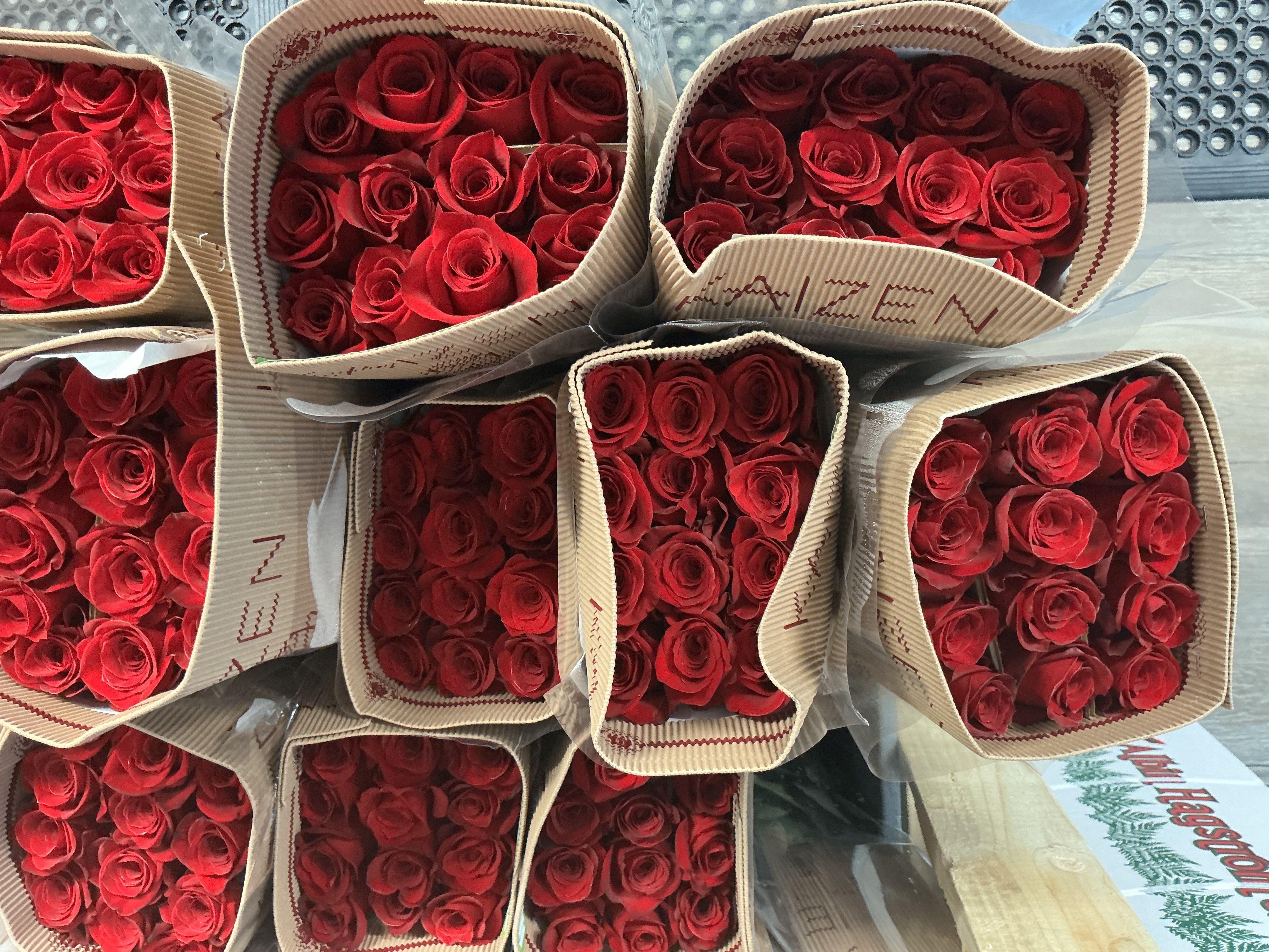 Bunch of red roses - 25 ct bunch of roses 