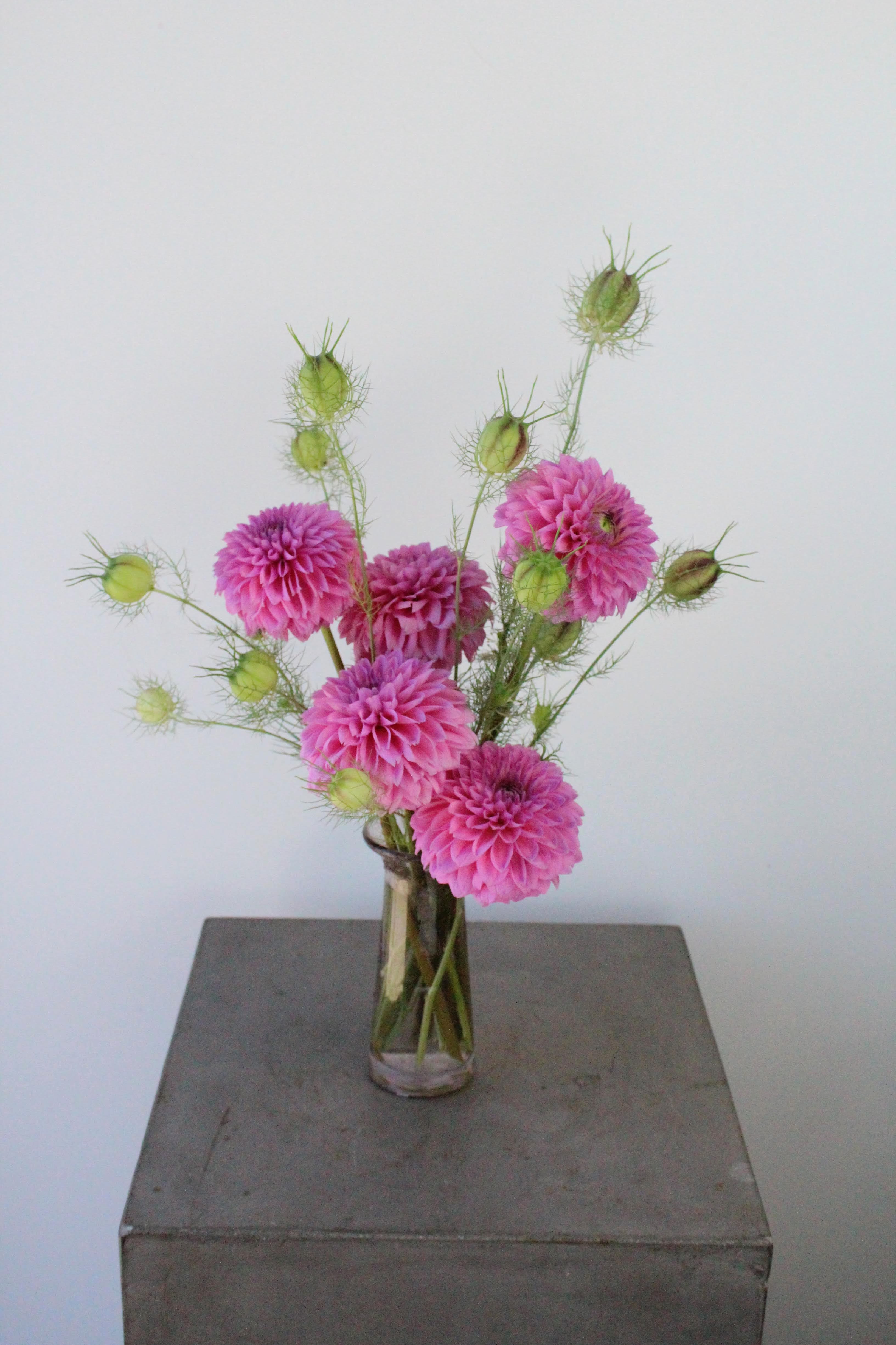 Dahlia Bud Vase - A highlight of gorgeous dahlias from local bay area farms-- a summer favorite!