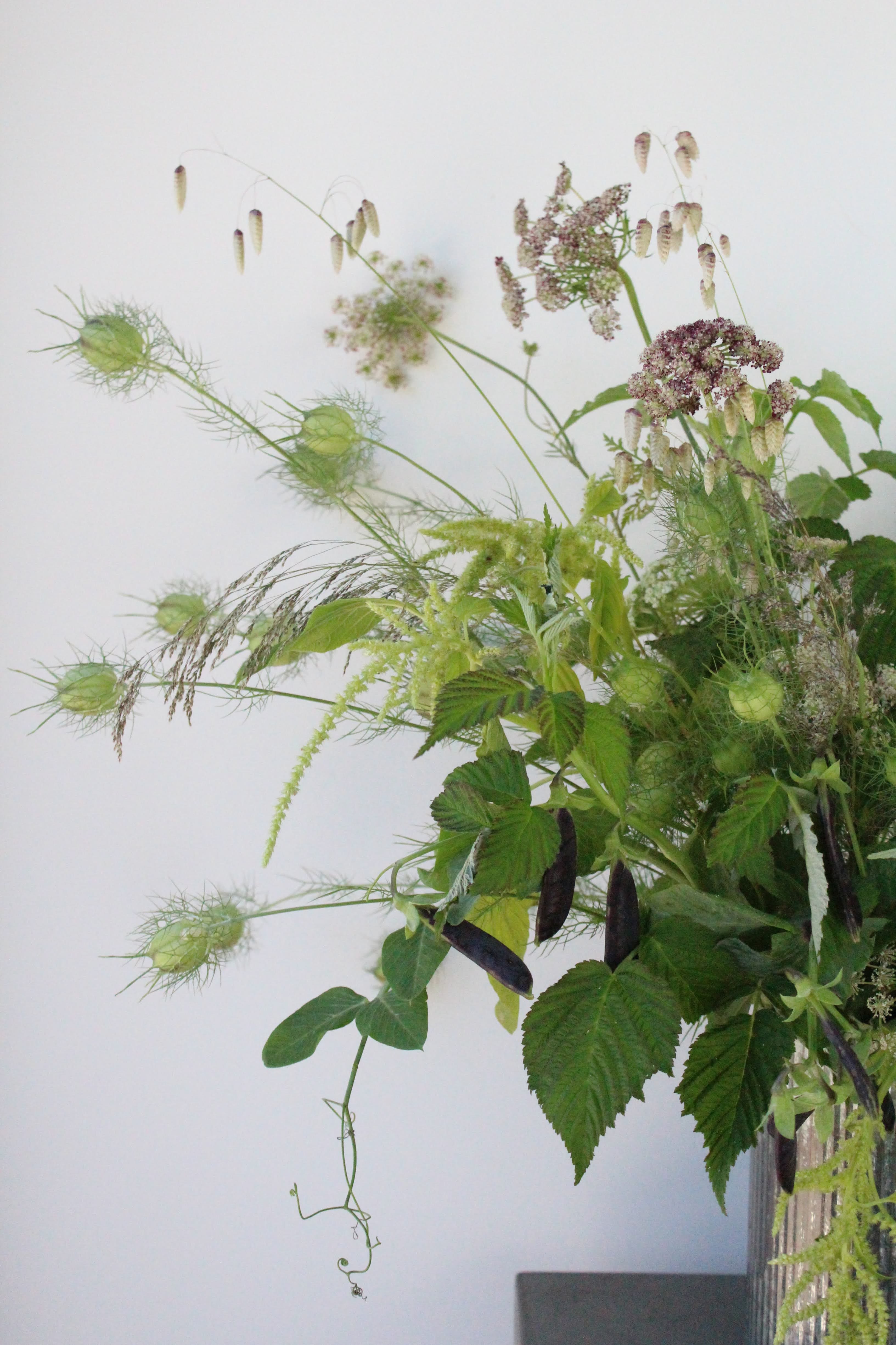 Meadow Greens - One of our favorites and it's long lasting too! This arrangement focuses on the textural and exciting foliages, pods and grasses that grow all around us.   *Images are a representation of design style. All arrangements are made to order and vary based on the availability of product the week of your order.
