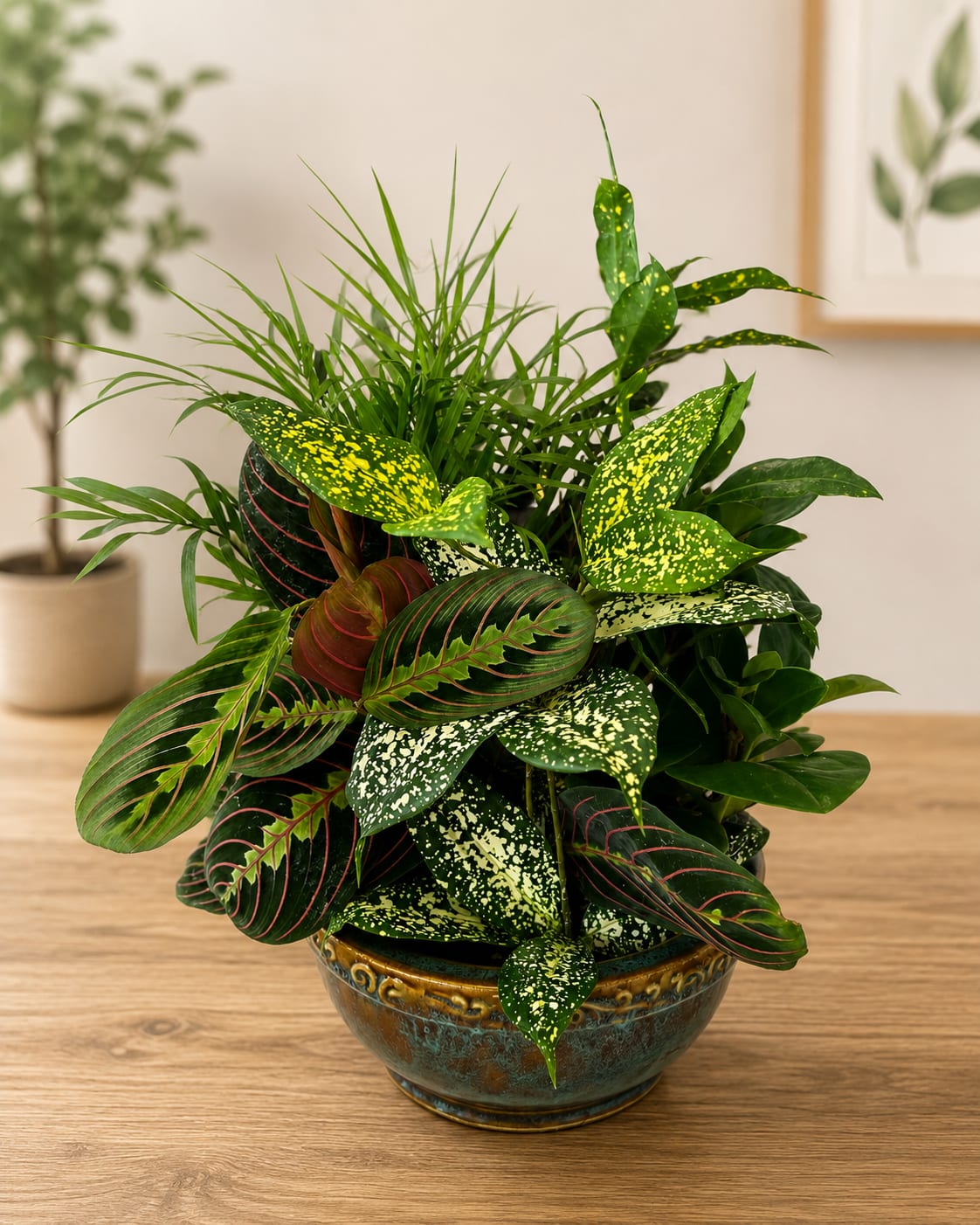 Emerald Oasis Ceramic Garden - A layered, living centerpiece that brings a fresh, tropical feel to any room - this houseplant arrangement is perfect as a housewarming gift, everyday décor, or a thoughtful thank-you. The Emerald Oasis Ceramic Garden reads like a miniature indoor landscape: lush green foliage takes center stage with pops of bright yellow-green speckling and subtle burgundy-pink veining that catch the eye and soften the palette for a modern home.  The arrangement is planted in a low decorative ceramic bowl and features a mix of narrow, grass-like leaves, broad speckled leaves, and darker oval leaves with pink-red veining for rich texture and contrast. Because it's all foliage, this piece offers long-lasting interest without cut flowers-ideal for someone who prefers living plants to bouquets. The compact, layered composition works well on coffee tables, shelves, or entryway consoles.  Give it to someone who appreciates greenery and low-maintenance style: it's the kind of gift that makes a person's space feel cared for and seen. Care is simple-bright, indirect light and regular but moderate watering; sizing and exact plant varieties may vary slightly with seasonal availability.