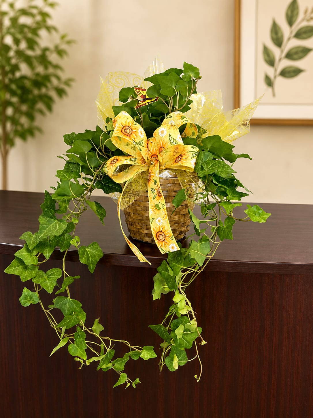 Cascading English Ivy Basket - A lush cascading ivy in a woven basket makes an immediate, cheerful impression-the perfect everyday gift or housewarming plant. This houseplant arrangement reads as a casual, welcoming present that will brighten a kitchen nook or living room shelf; the person you're thinking of will feel seen by a living, long-lasting display rather than cut flowers.  The trailing green vines spill over the sides and down the front of a natural woven basket for a full, tumbling silhouette. A large yellow ribbon printed with sunflower motifs and clear cellophane wrap give a gift-ready finish that's sunny and informal. Arrives ready to display-no extra potting required-and the low-maintenance ivy suits busy recipients who appreciate easy care and enduring green texture.