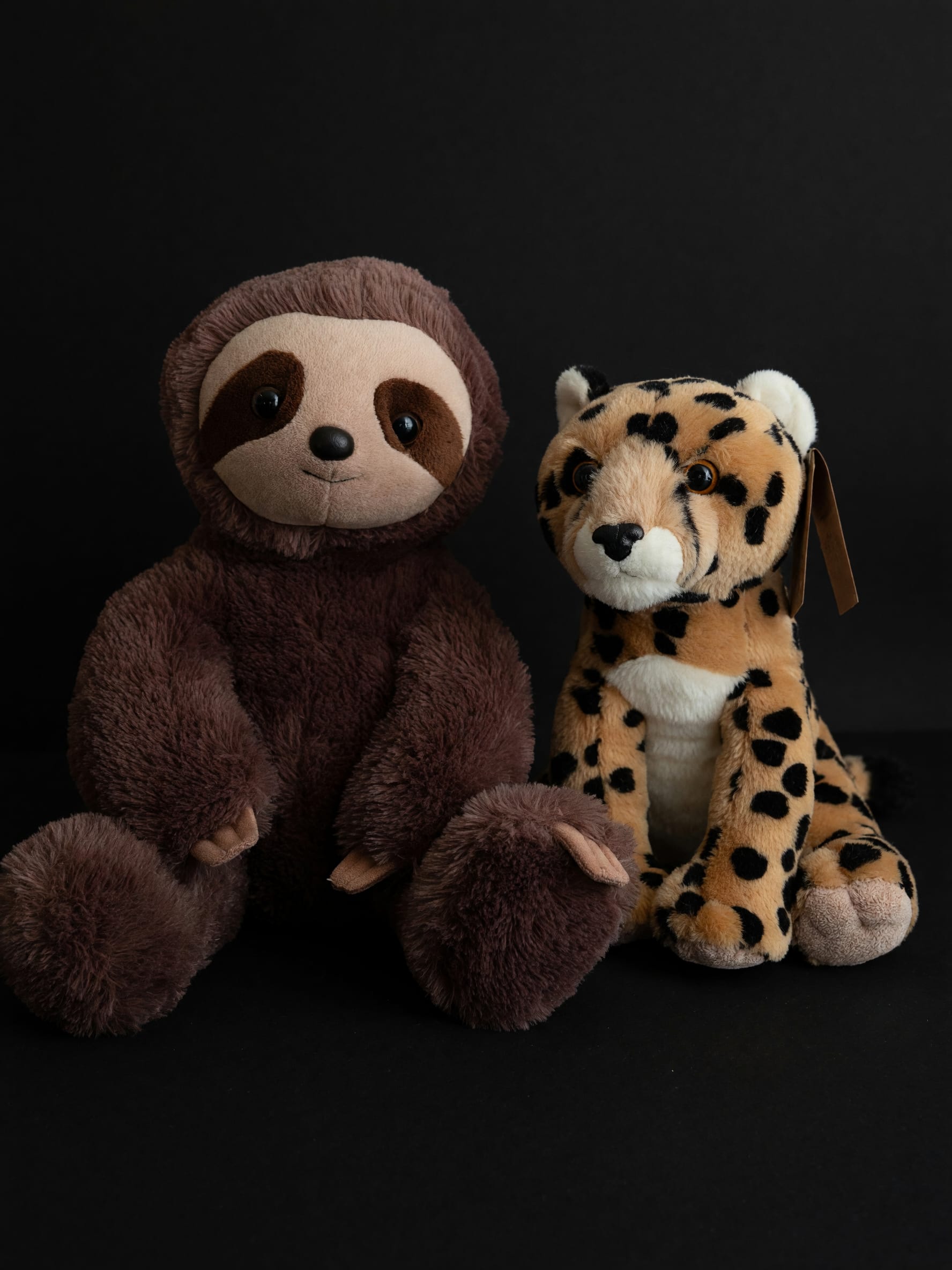 Plush Friends Collection - Available Plush Friends:  Sloth – $34.99 Cheetah – $34.99 Husky – $29.99 Additional styles available Pair with any floral arrangement or gift basket