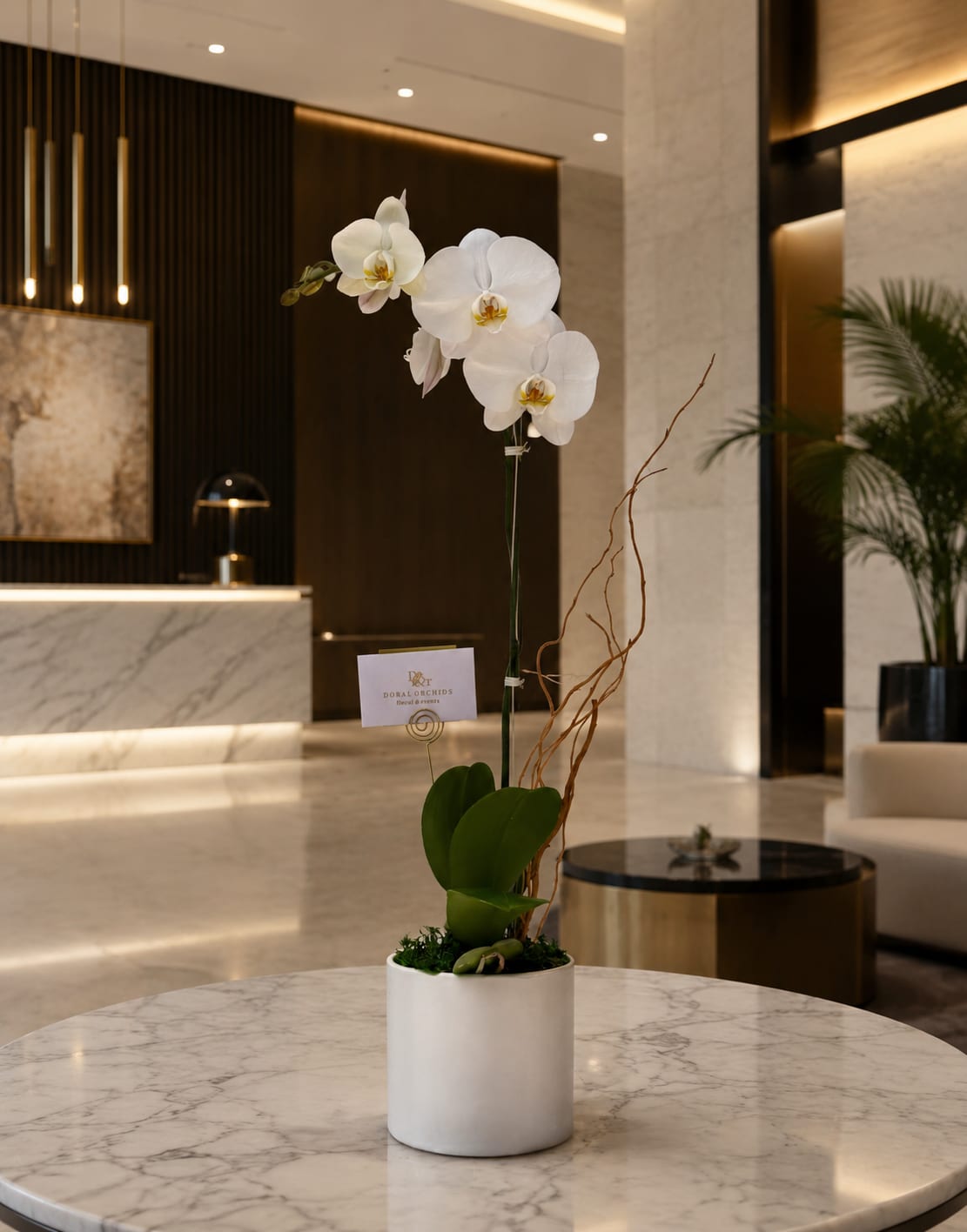 White Whisper Orchid™ - A single-stem Phalaenopsis orchid offers quiet elegance for a birthday, anniversary, sympathy gesture, or to mark a milestone-perfect when you want the person you're thinking of to feel calmly celebrated. This white orchid plant brings a refined, modern presence to any room: broad, pristine white blooms float above glossy green leaves for a timeless look that suits both upscale everyday gifting and formal settings.  Arranged in a sleek white ceramic pot, the composition is deliberately minimal and tall. The single stem is supported by a plant stake and accented with slender decorative twigs, giving vertical interest without crowding the silhouette. Its restrained white-and-green palette and polished presentation make it an ideal choice for office desks, entry consoles, bedside tables, or reception areas.  Designed to feel sophisticated and low-maintenance, this Phalaenopsis makes a meaningful, long-lasting gift that signals care and thoughtfulness. (Standard care: keep in bright, indirect light and water sparingly when the potting mix feels dry to the touch.)