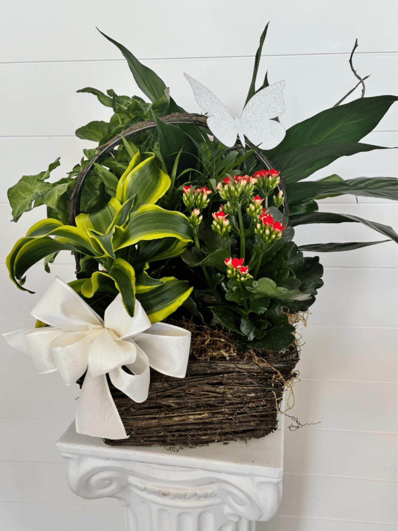 #31 dishgarden - A fresh, cheerful mixed plant arrangement that feels like a little indoor garden-perfect as a birthday surprise, a get-well gift, or a thoughtful "thinking of you" present. This dishgarden features potted plants arranged in a rustic woven basket so it reads as a living centerpiece for a kitchen table, entryway, or office. The white ribbon bow and glittery butterfly pick give the piece a celebratory, gift-ready finish that will make the recipient feel genuinely seen.  Dense green foliage and long variegated leaves create height and texture on one side, balanced by a compact flowering plant with clusters of small red blooms on the other; touches of yellow in the variegation add warmth. The basket planter arrives fully arranged and ready to display - a natural-style, low-maintenance choice for someone who loves living décor but prefers fuss-free care.