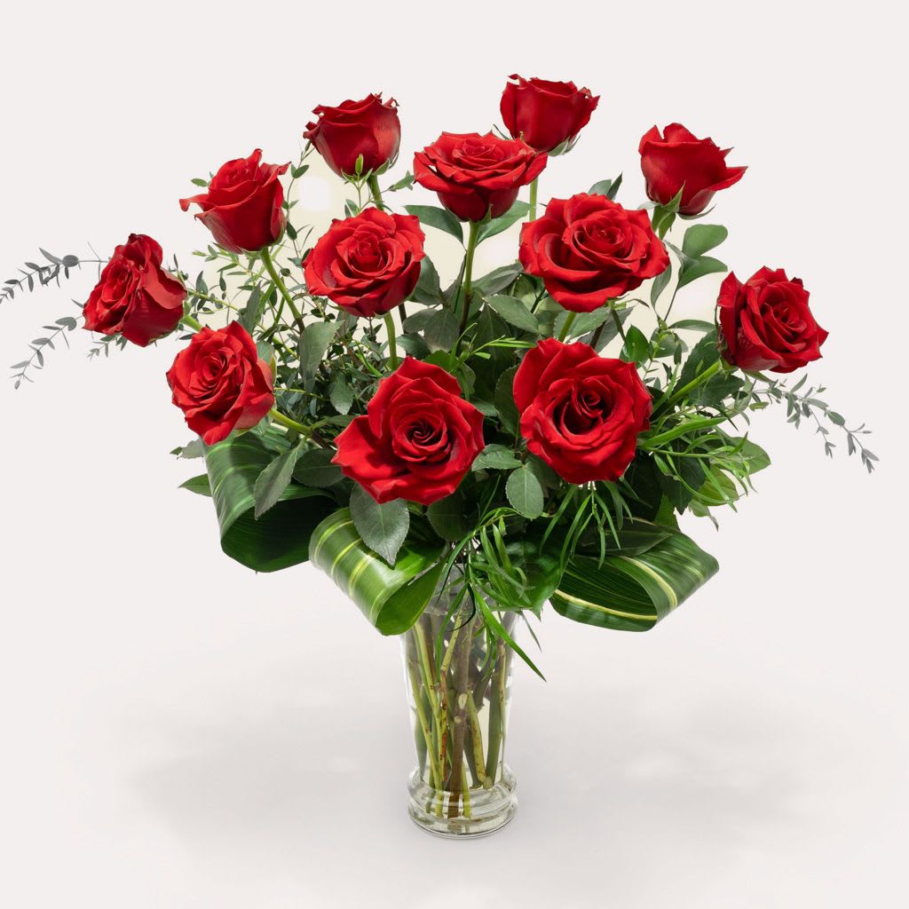 Deluxe Dozen Roses - A dozen roses presented in a trumpet vase.    Deluxe and Premium upgrades offer premium greens and filler flowers.