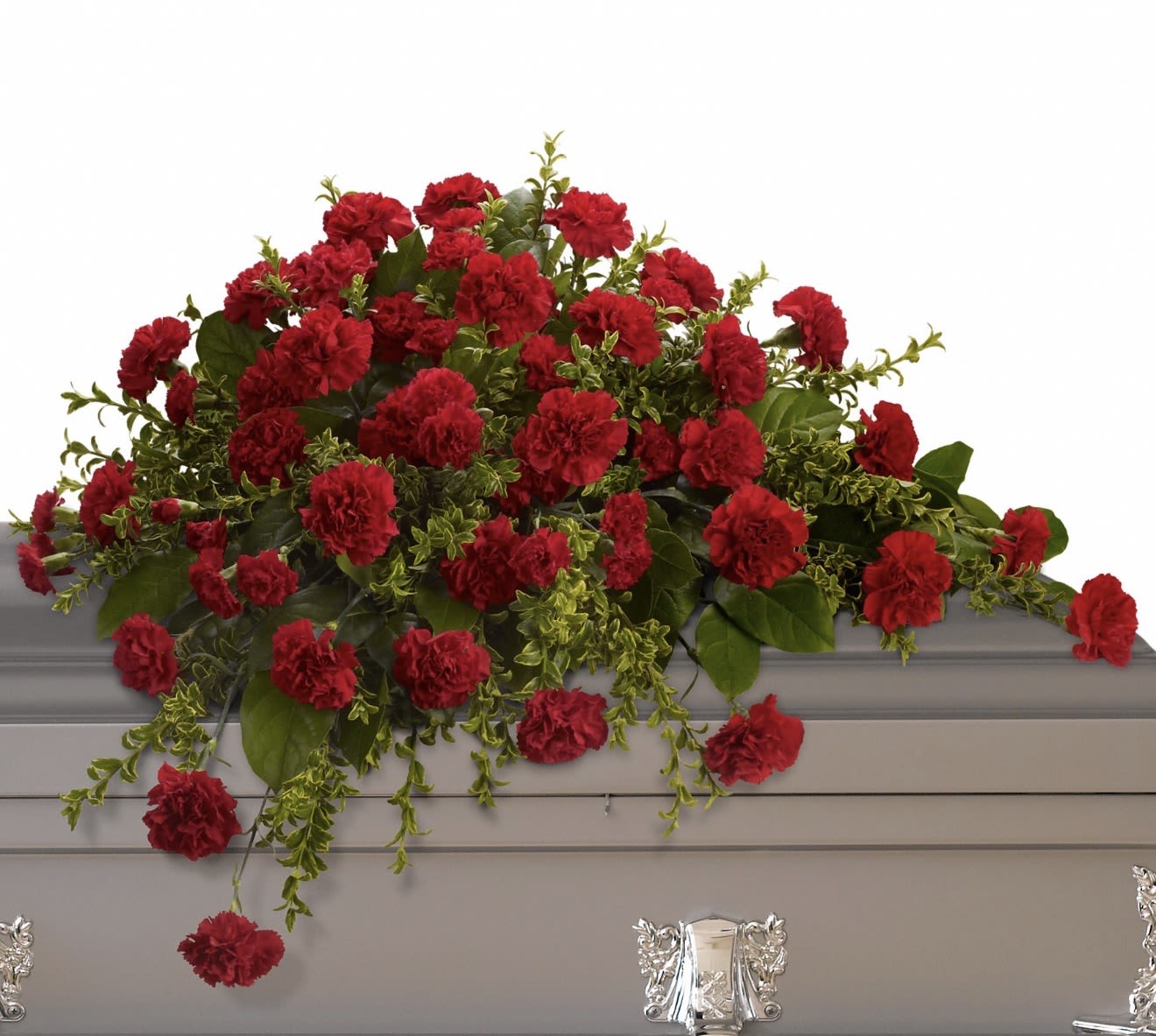 Adoration Casket Spray - A broad spray of deep red carnations arranged with lush greenery creates a formal, traditional sympathy arrangement designed to convey respectful remembrance. This red, green, and white palette reads solemn and dignified-perfect for honoring a loved one at a memorial or funeral service and letting the person you're thinking of feel deeply seen and respected.  Dense clusters of red carnations form the visual heart, while trailing foliage and broad leaves add texture, movement, and a comforting green frame around the composition. White accents lift the palette with a quiet brightness. Generous in scale and presence, this piece lays flat and spreads widely to make an elegant, steady statement that comforts friends and family during the service.