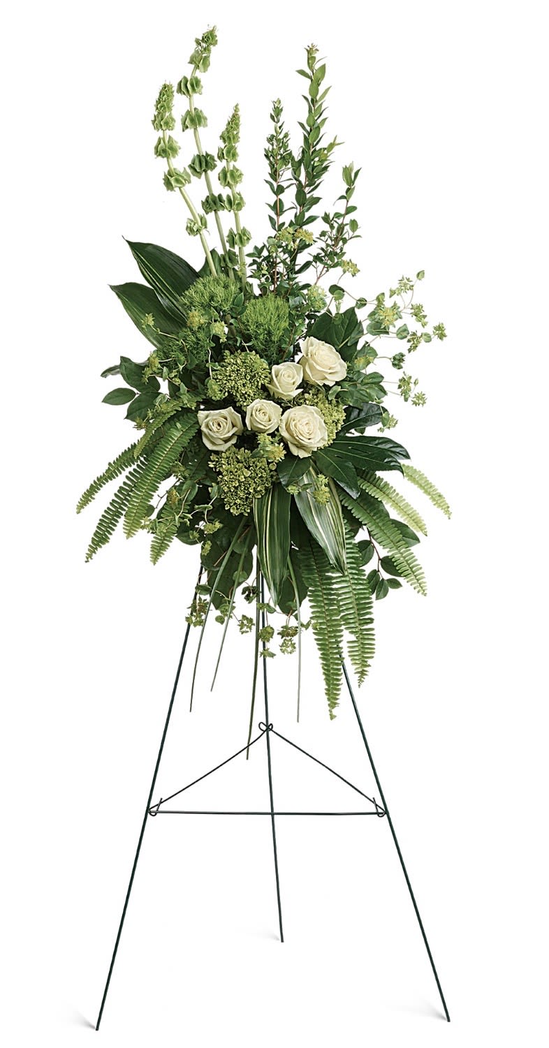 Forever At Peace Spray - White roses gathered at the heart of this standing spray create a calm, reverent focal point-an elegant sympathy arrangement that reads as both peaceful and dignified for a funeral or memorial. The predominantly green palette, lifted by white accents, gives the person you're honoring a serene, restrained tribute that comforts without overwhelming.  Layered with airy greenery, fern fronds, hydrangea clusters and touches of dianthus, the composition balances texture and soft volume while keeping lines tall and graceful. Mounted on a sturdy black metal easel, the spray presents beautifully at services or graveside and holds its form as a classic standing tribute.  Designed to convey sympathy and quiet remembrance, this arrangement is the kind of piece that helps the recipient feel genuinely seen and supported during a difficult moment. Dimensions and specific flower counts are available at checkout; for best presentation, keep the spray upright and away from direct heat until displayed.